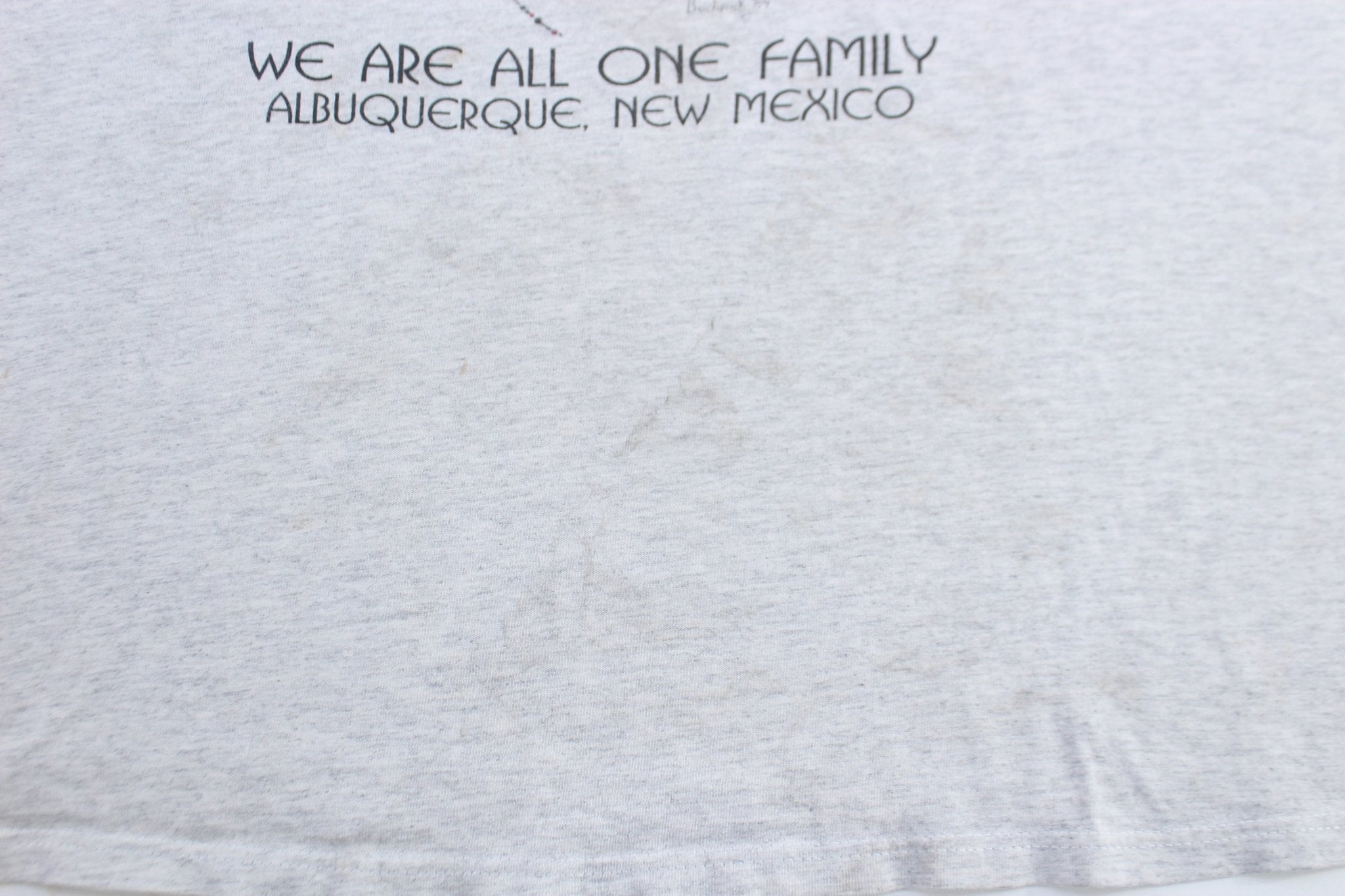 1989 Albuquerque, New Mexico Family T-Shirt - T-Shirts - Thrifted Threads