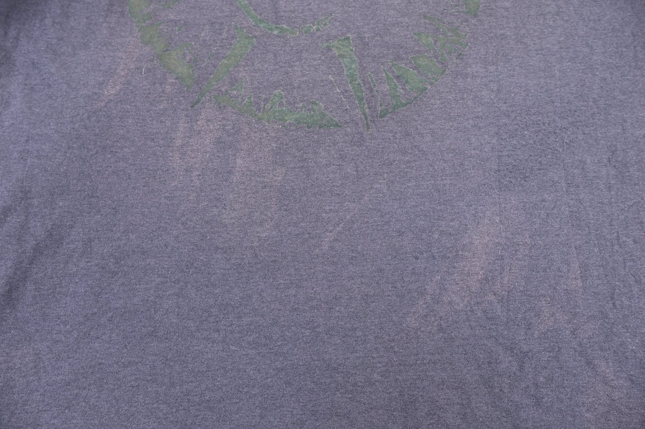 1989 Melissa Etheridge Brave And Crazy T-shirt - Shirts & Tops - Thrifted Threads