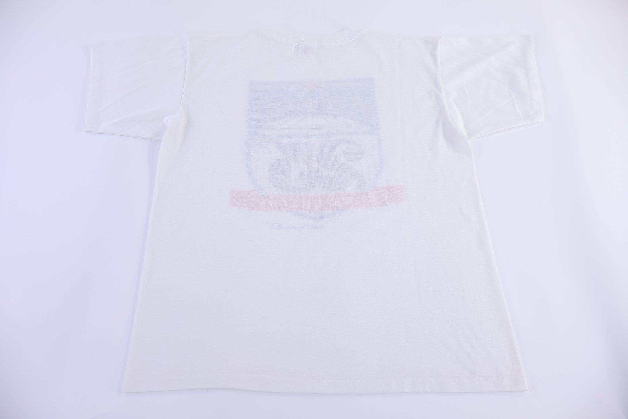 1990 Houston Astrodome 25th Anniversary T-shirt - Shirts & Tops - Thrifted Threads