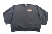 1992 Jurassic Park Sweatshirt - ThriftedThreads.com