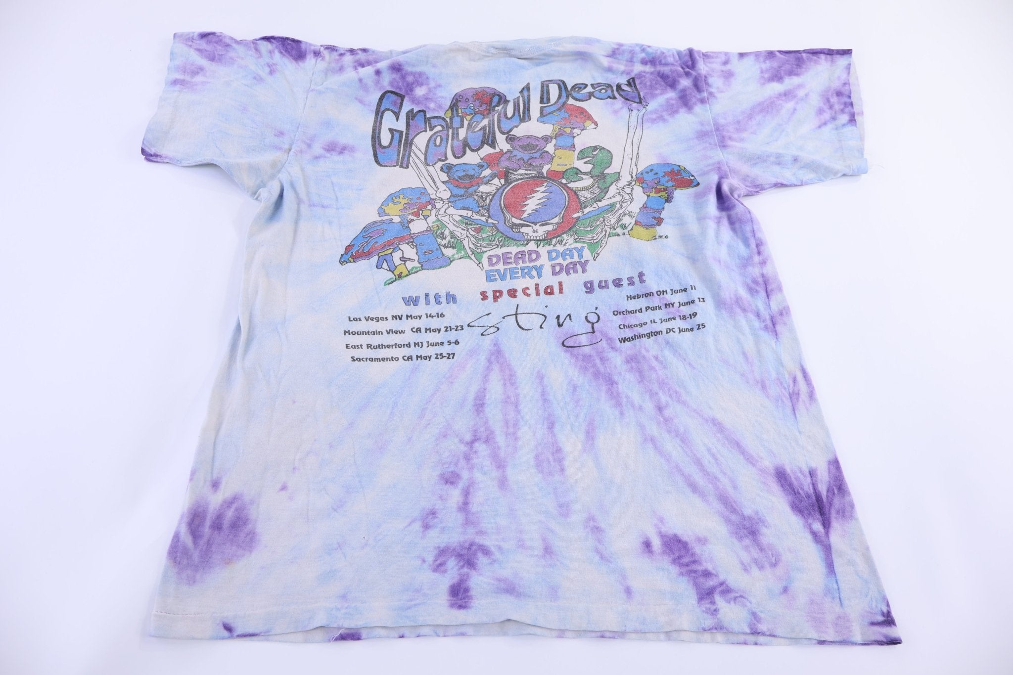 1993 The Grateful Dead Summer Tour T-shirt - Shirts & Tops - Thrifted Threads