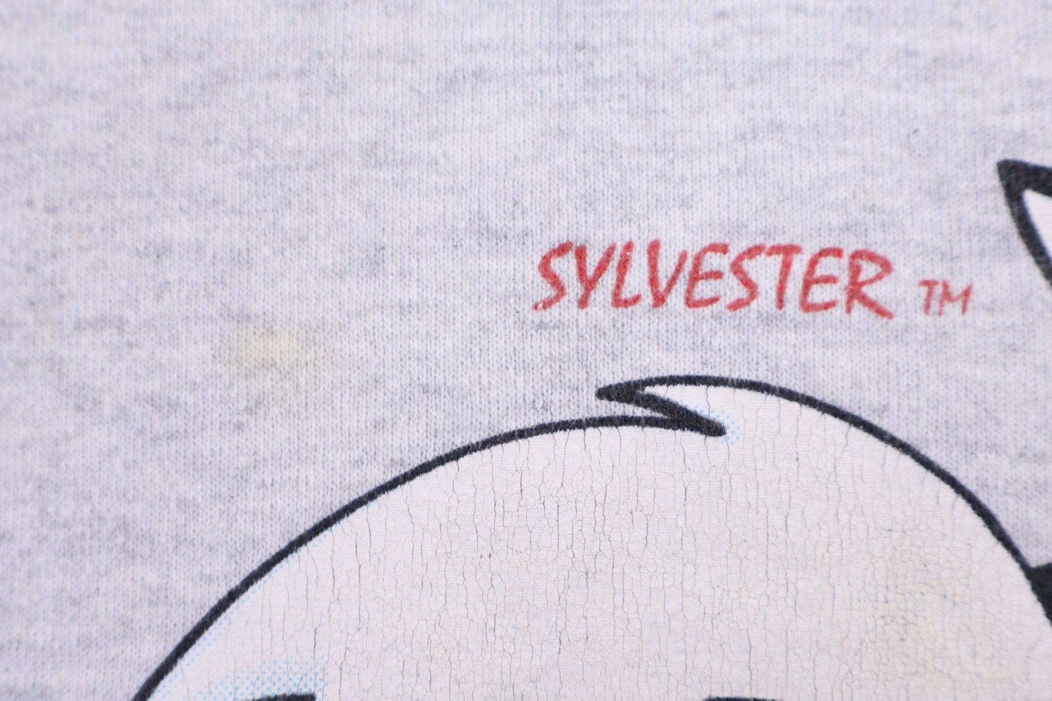 1993 Tweety & Sylvester Sweatshirt - Sweatshirt - Thrifted Threads