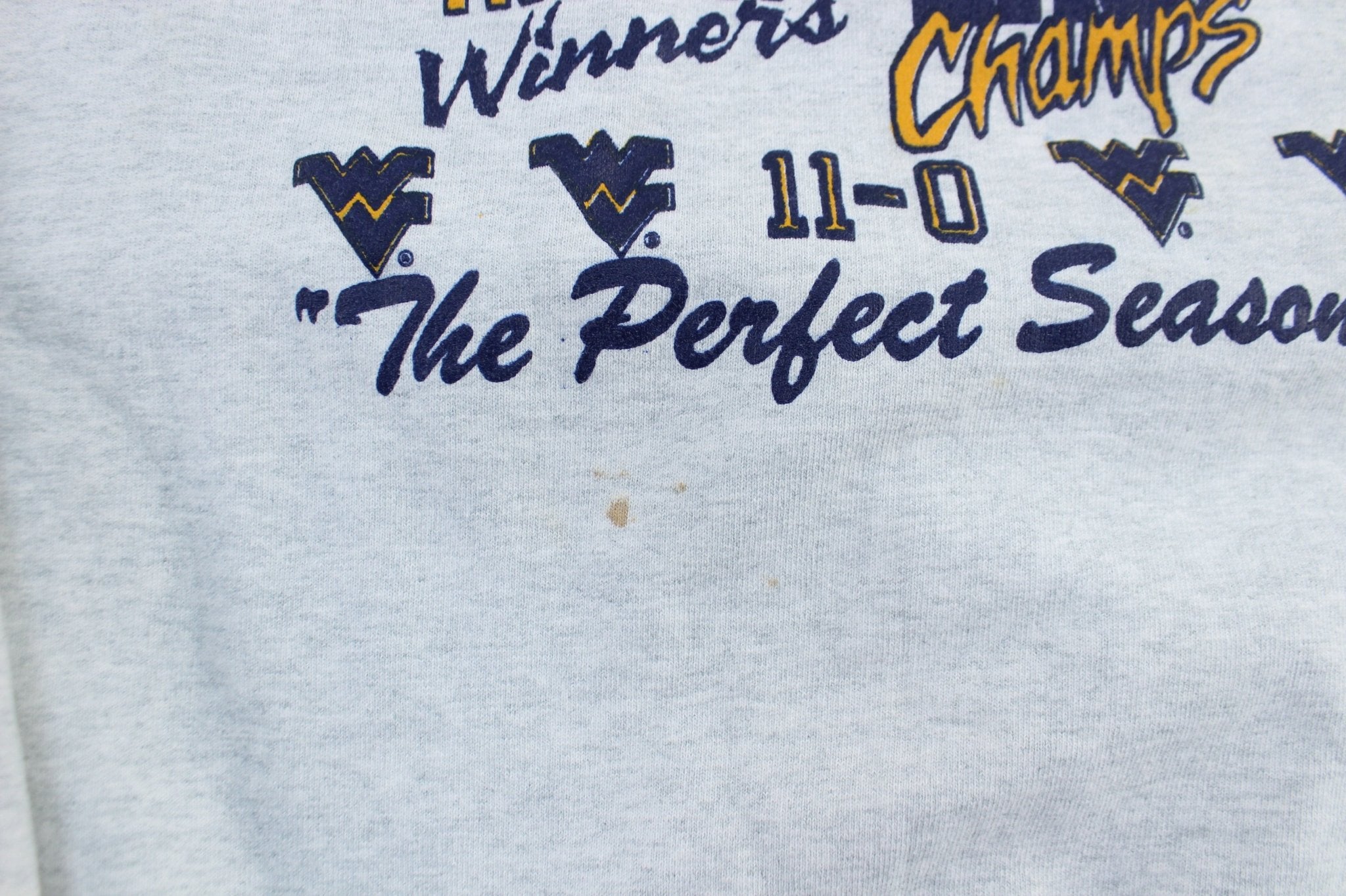 1993 West Virginia University Perfect Season Football Sweatshirt - ThriftedThreads.com