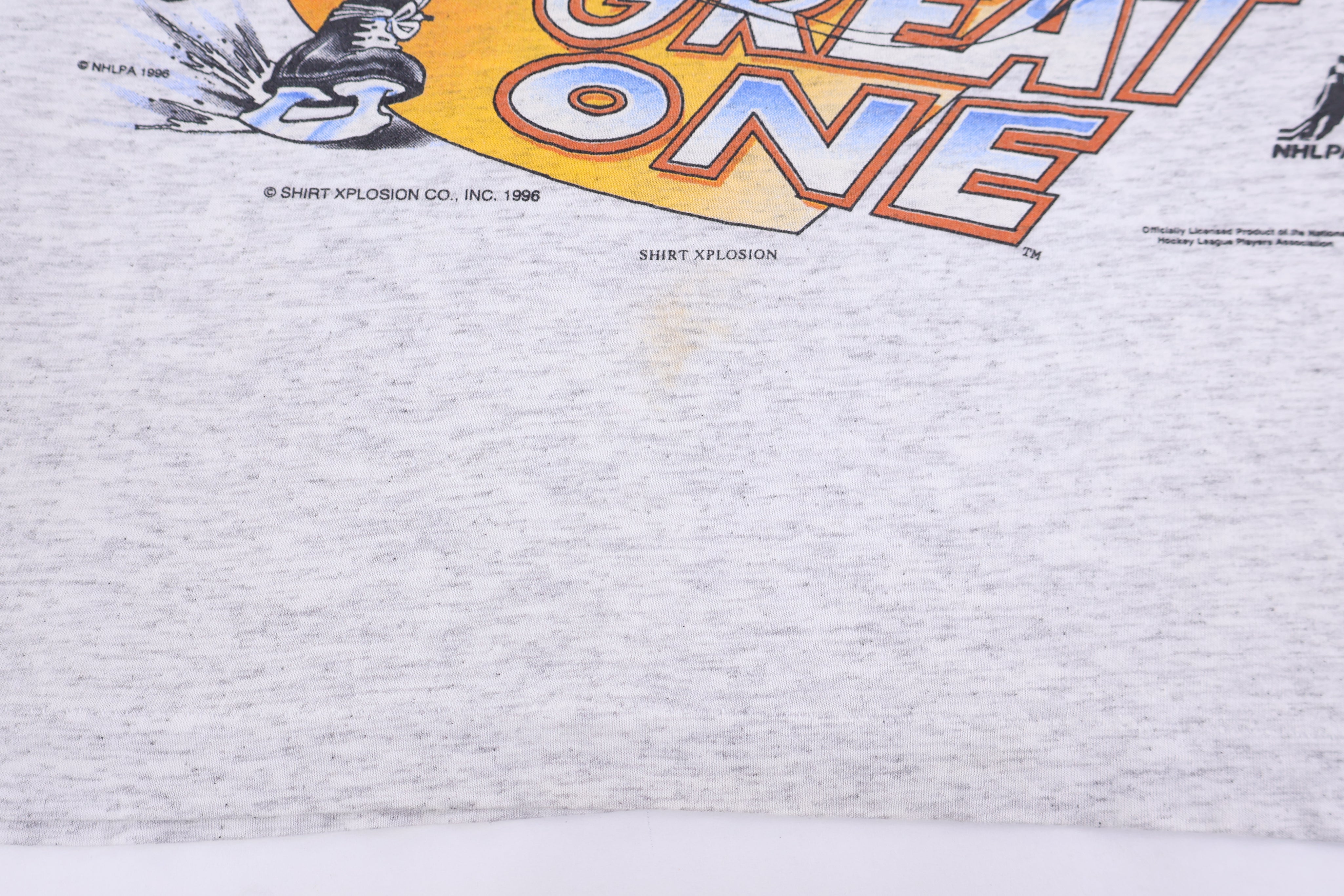 1996 Wayne Gretzky St. Louis Blues Hockey T-shirt - Shirts & Tops - Thrifted Threads