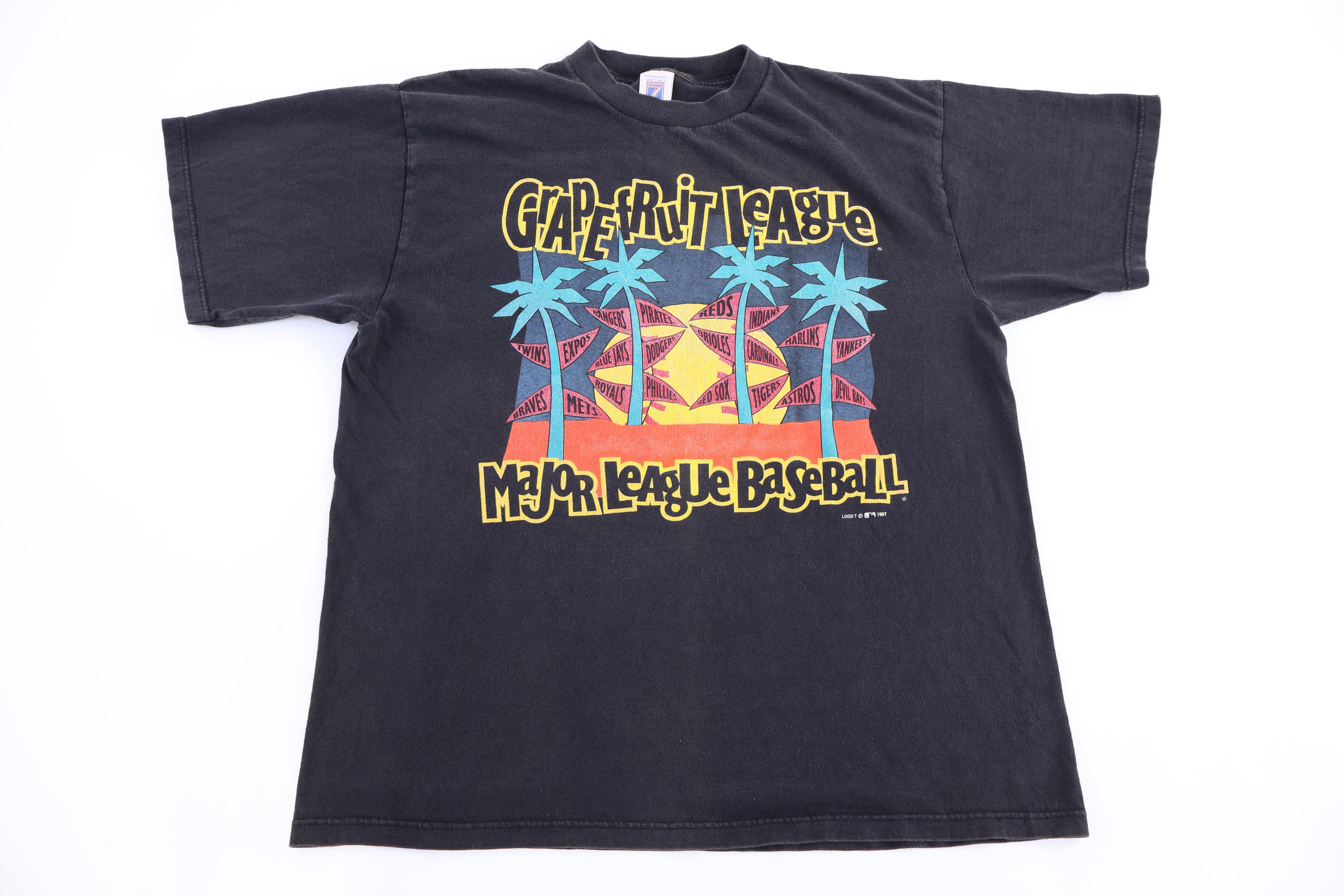 1997 Grape Fruit League Baseball T-shirt - Shirts & Tops - Thrifted Threads
