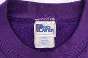 1998 Minnesota Vikings Central Division Champs Sweatshirt - Sweatshirt - Thrifted Threads