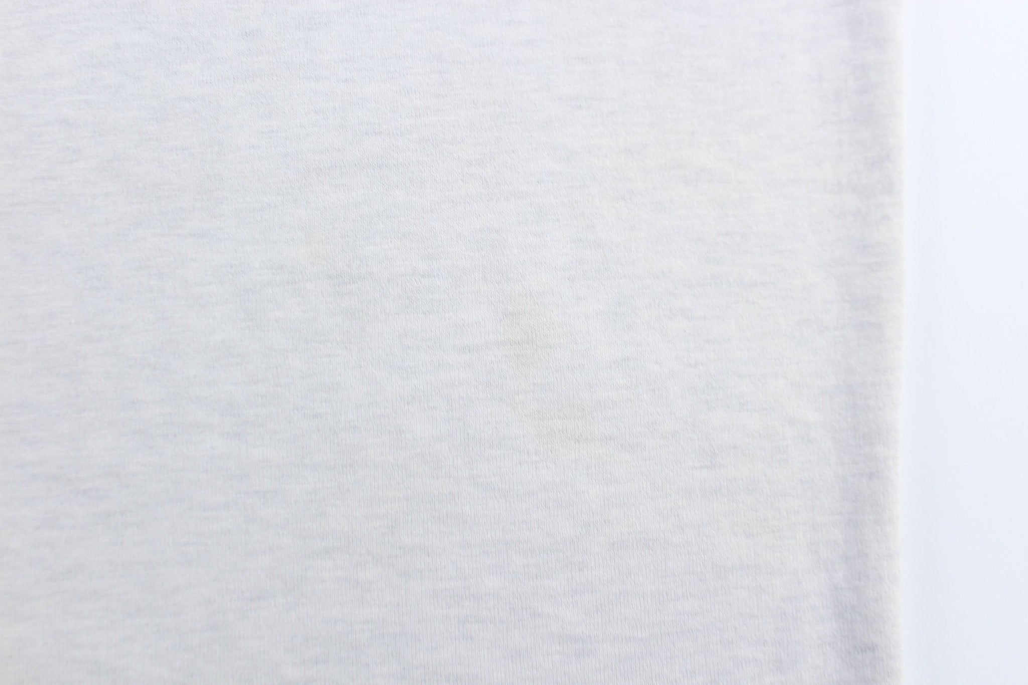 2000 Warner Bros Wile E. Coyote & The Road Runner T-Shirt - ThriftedThreads.com