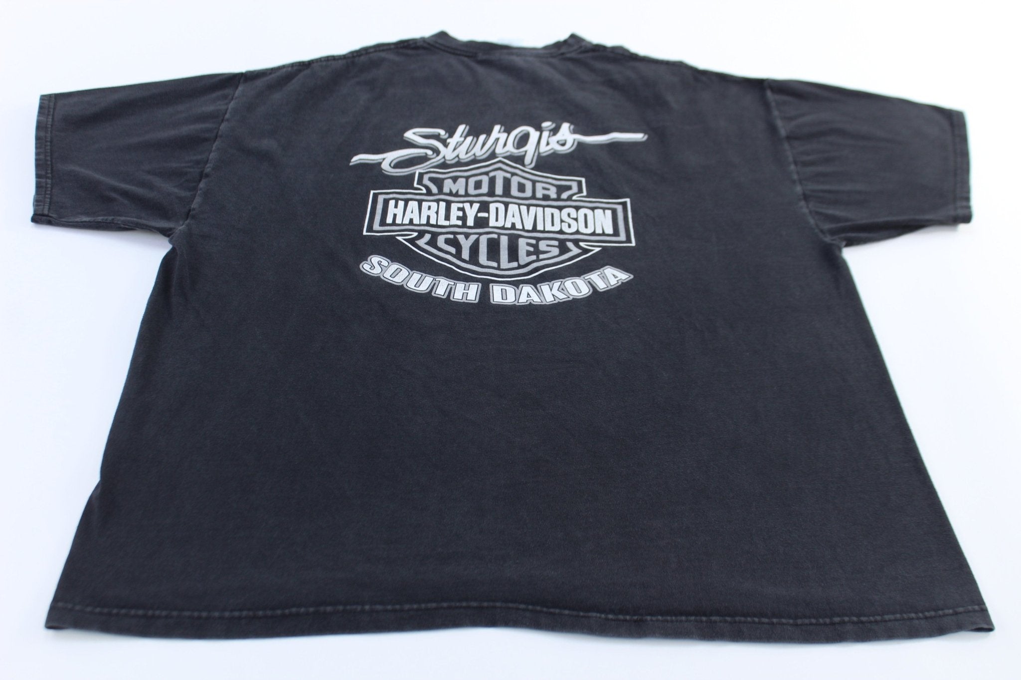 2001 Harley Davidson Motorcycles Black Hills Rally T-Shirt - ThriftedThreads.com
