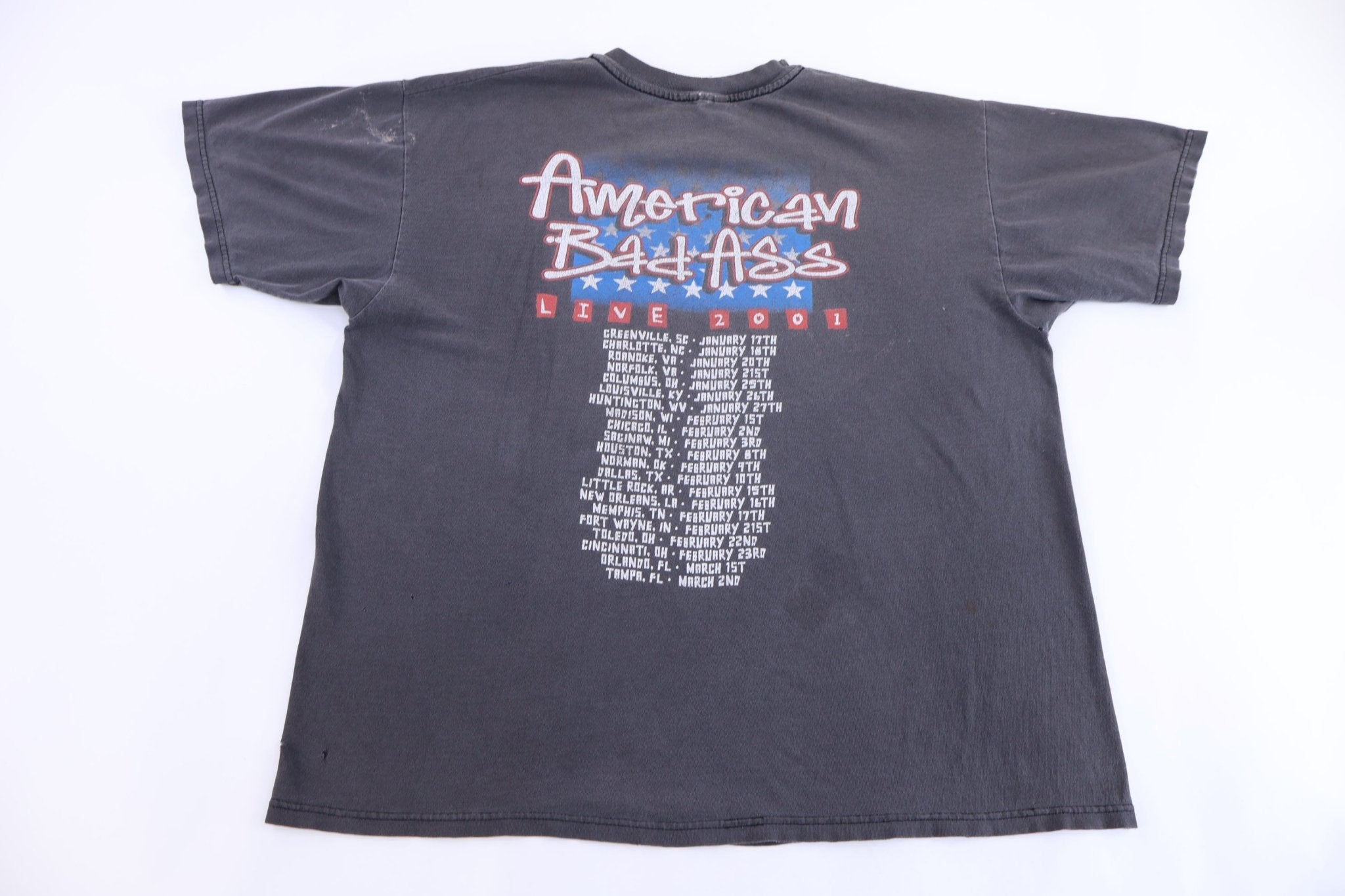 2001 Kid Rock Bad Ass Tour T-shirt - Shirts & Tops - Thrifted Threads