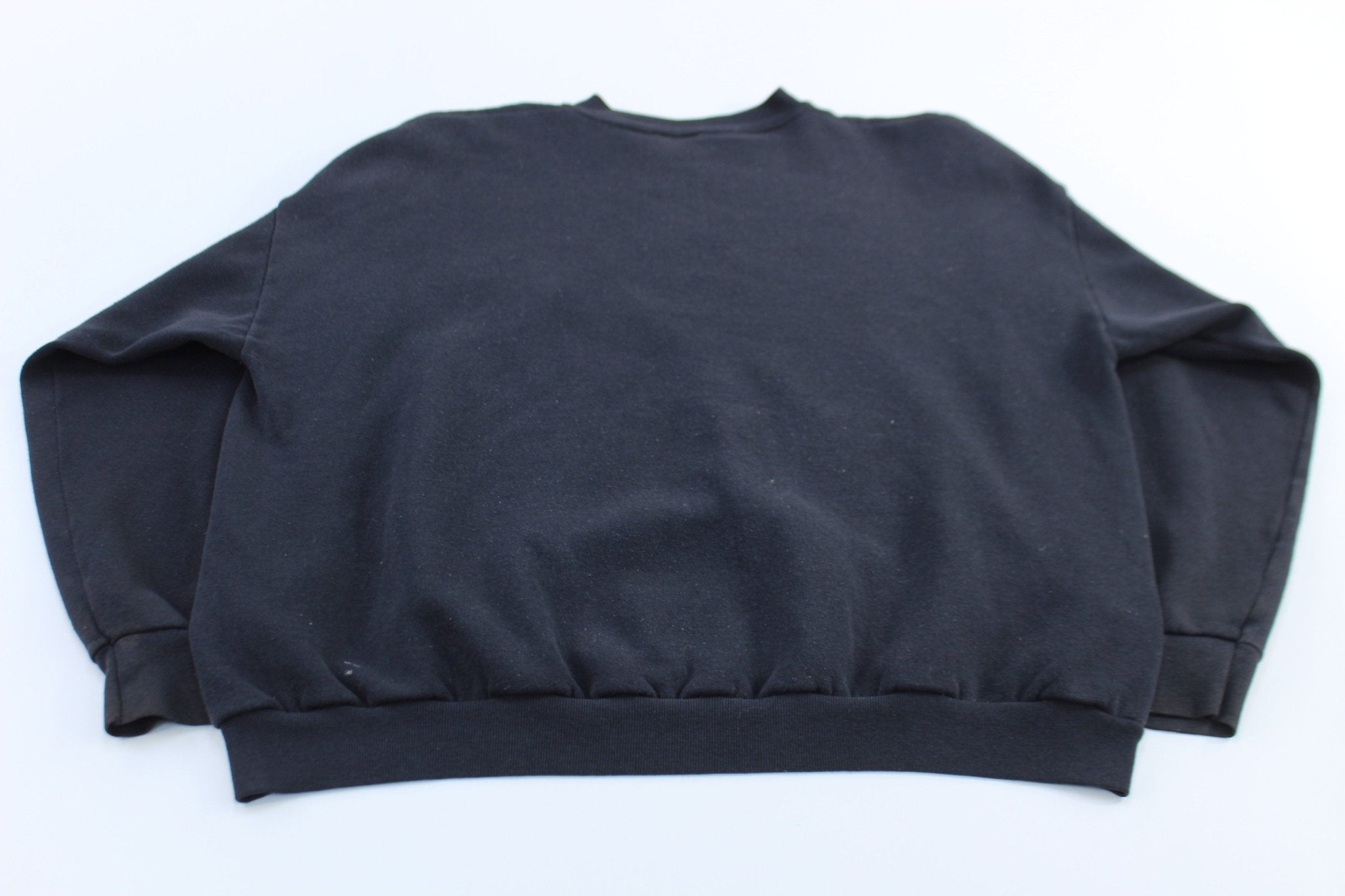 2001 Pittsburgh Steelers Football AFC Central Division Champions Sweatshirt - ThriftedThreads.com