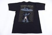 2002 Cher Living Proof Tour T-shirt - Shirts & Tops - Thrifted Threads