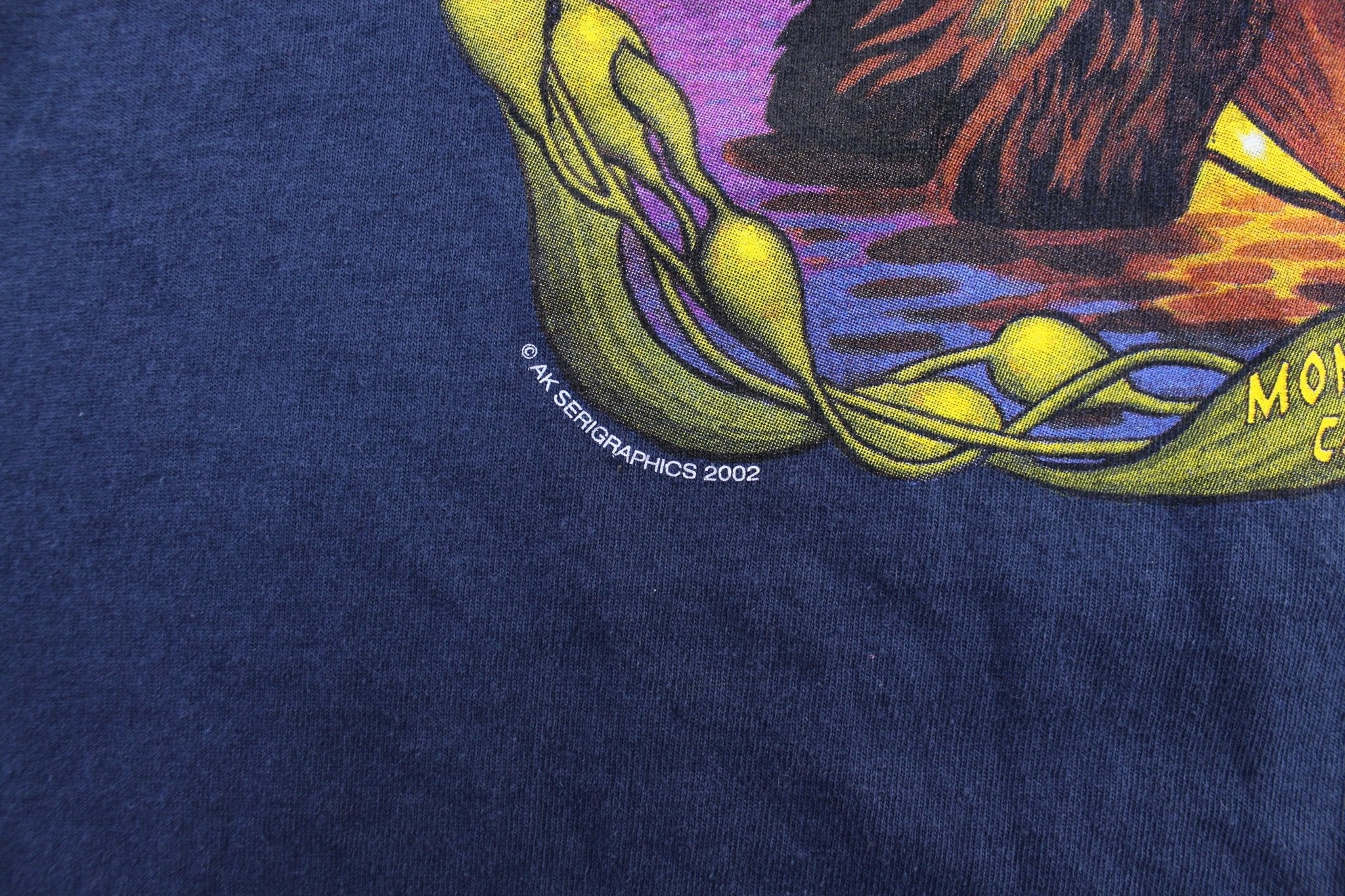 2002 Harry Otter Graphic T-Shirt - ThriftedThreads.com