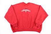 2002 Ohio State University Sweatshirt - Sweatshirt - Thrifted Threads