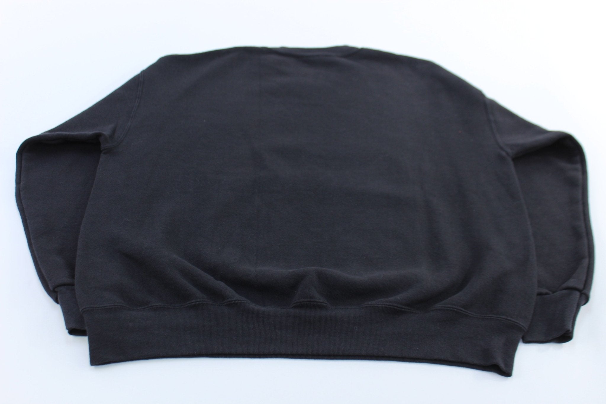 2004 New England Patriots vs Carolina Panthers SuperBowl Sweatshirt - ThriftedThreads.com