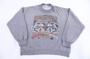 2004 Super Bowl Patriots Vs Panthers Sweatshirt - Sweatshirt - Thrifted Threads