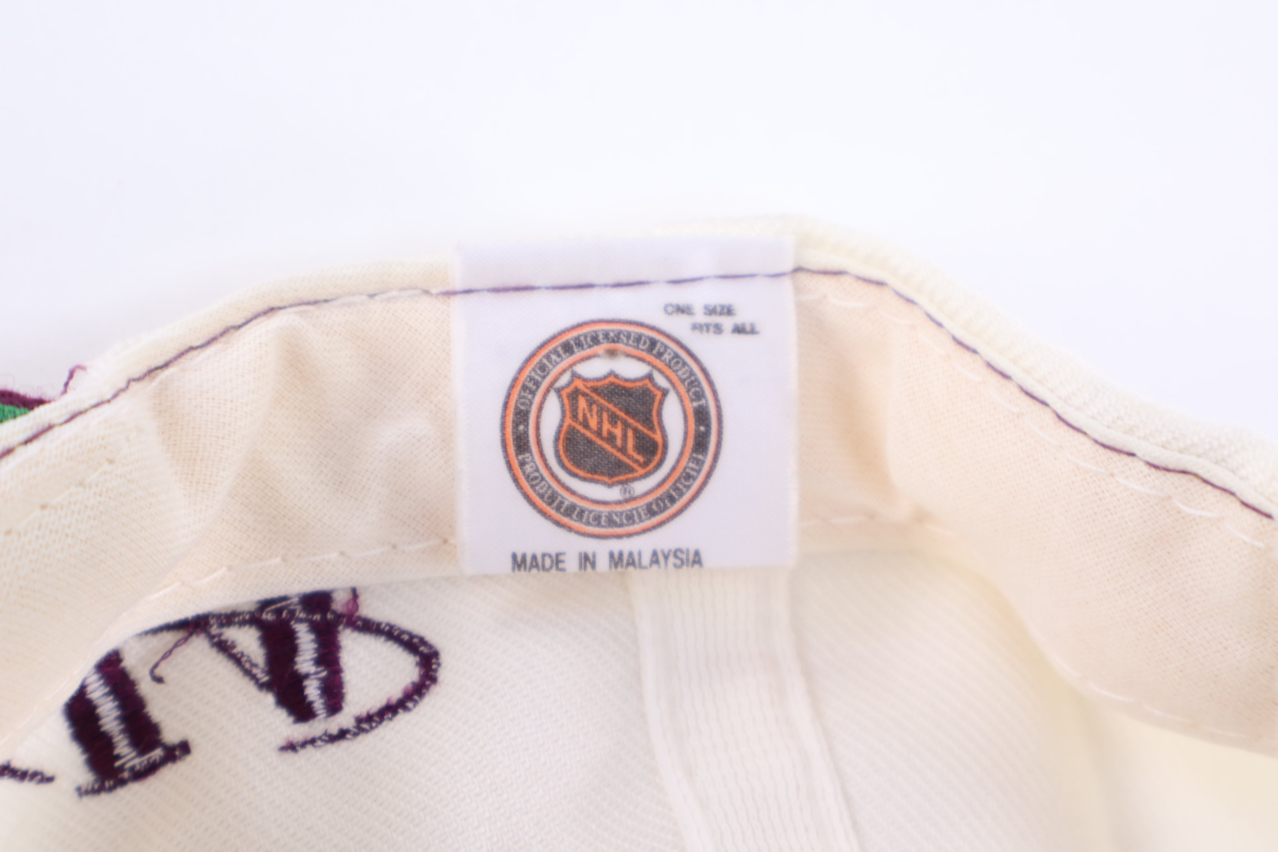 90's Anaheim Mighty Ducks Sharktooth Snapback Hat - Hats - Thrifted Threads