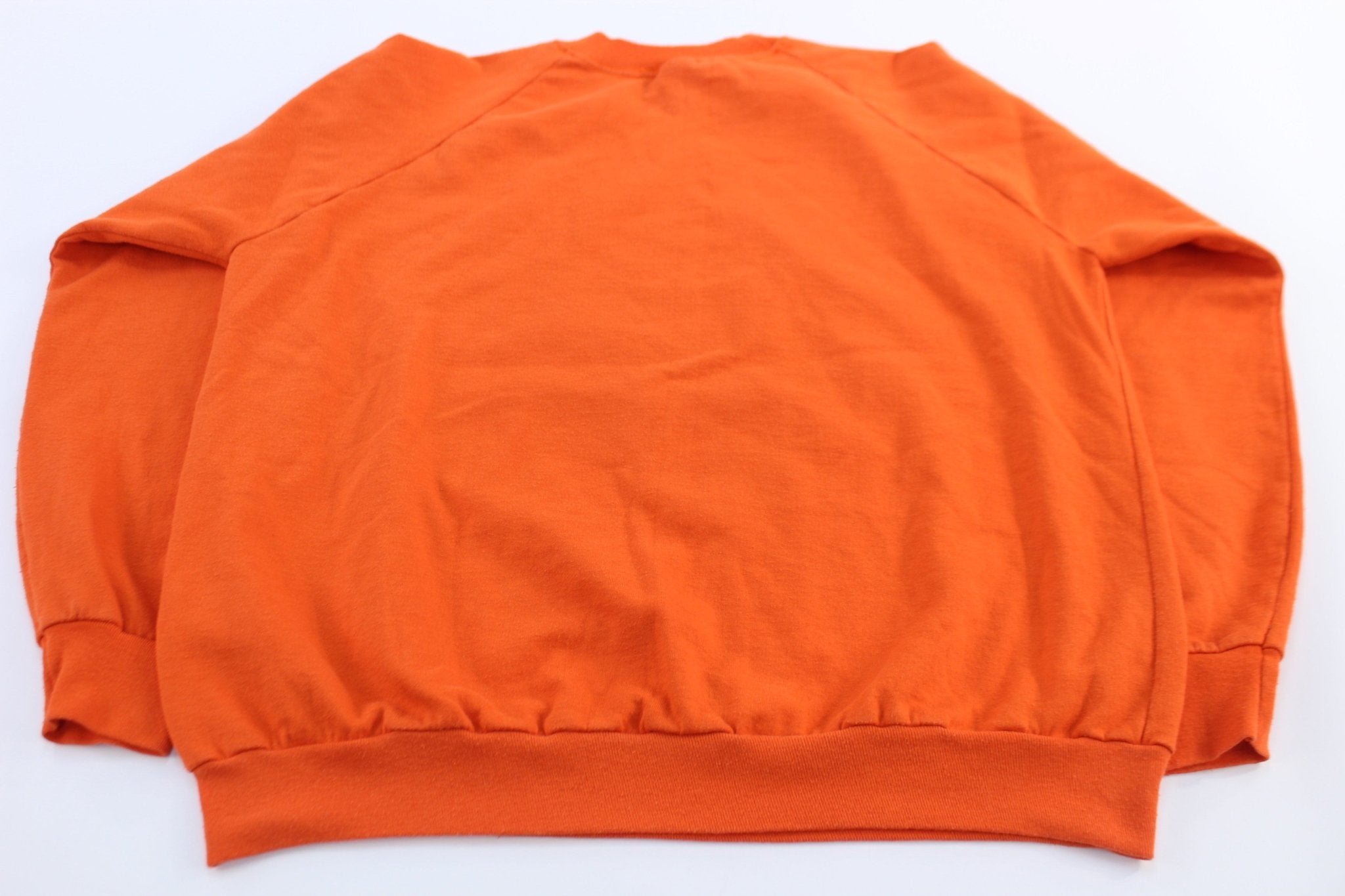 90's Denver Broncos Football Western Division Champions Sweatshirt - ThriftedThreads.com