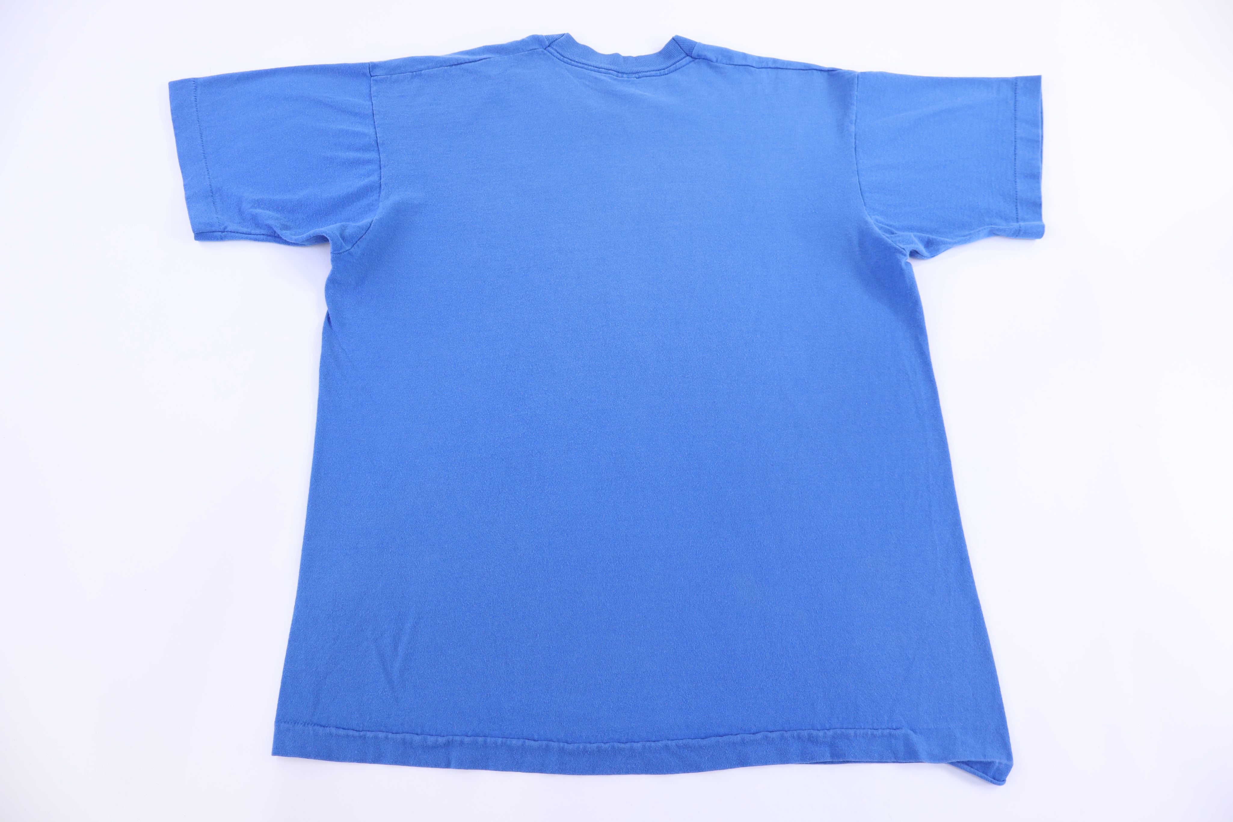 90's Detroit Lions Graphic T-shirt - Shirts & Tops - Thrifted Threads