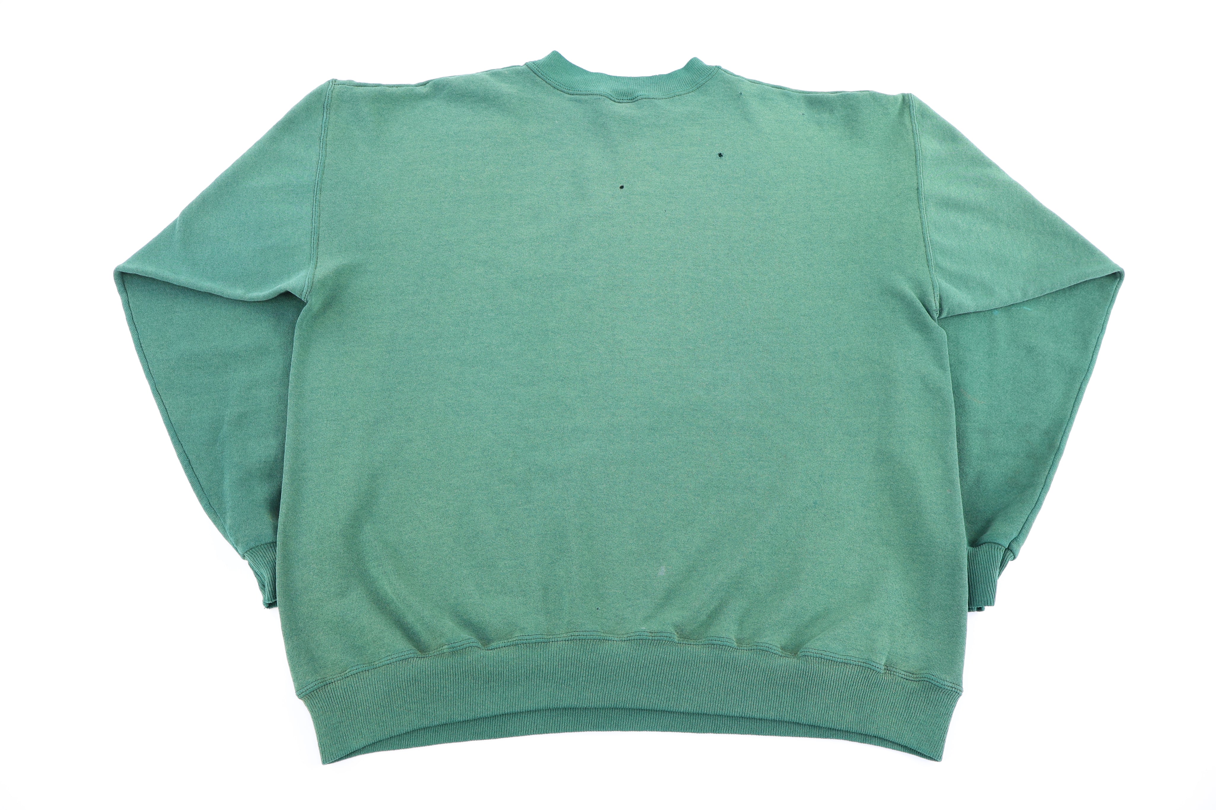 90's Eagles Soaring Nature Graphic Sweatshirt - Sweatshirt - Thrifted Threads