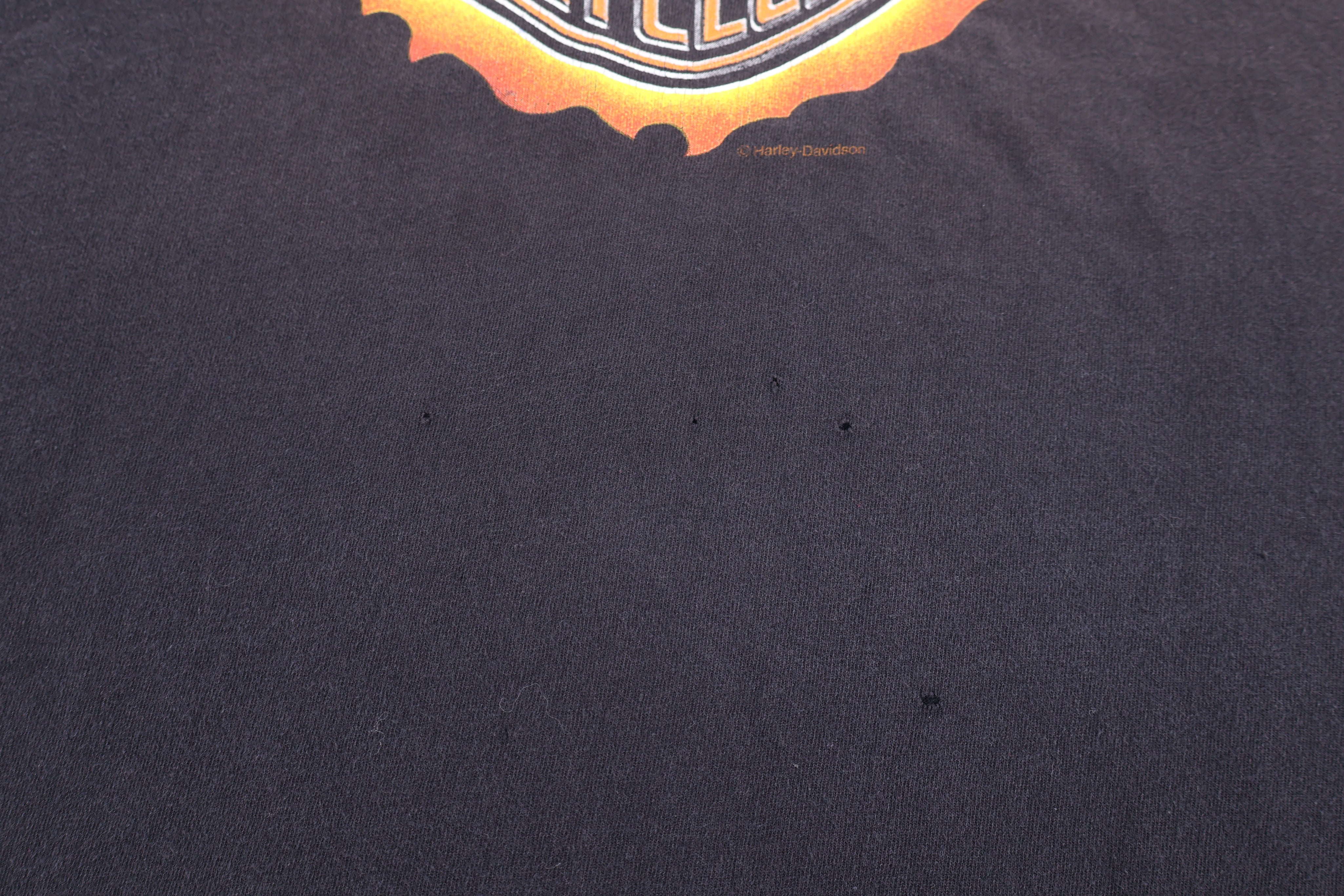 90's Harley Davidson Motorcycles Logo On Flames T-shirt - Shirts & Tops - Thrifted Threads