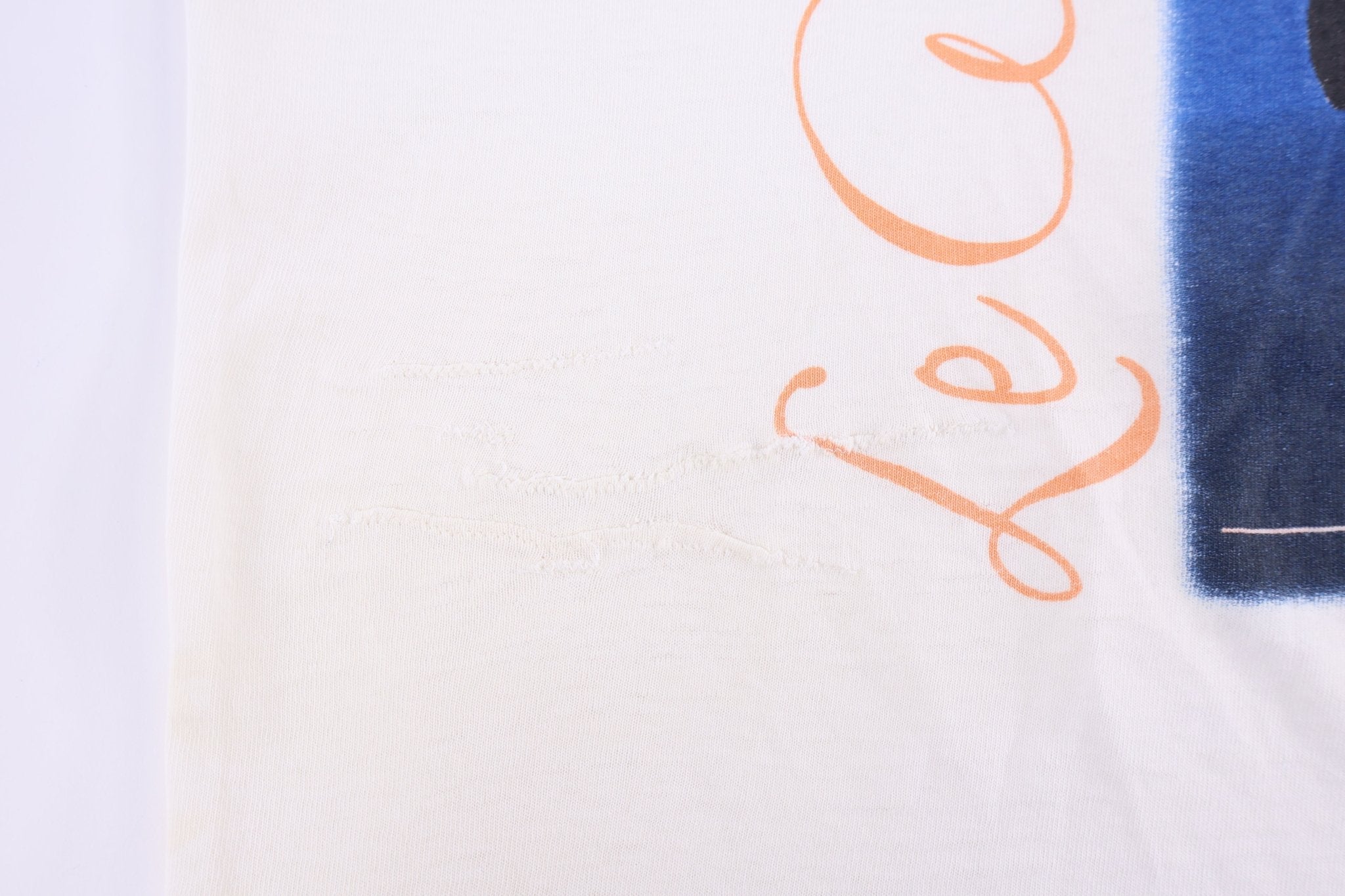 90's LeAnn Rimes Graphic T-shirt - Shirts & Tops - Thrifted Threads