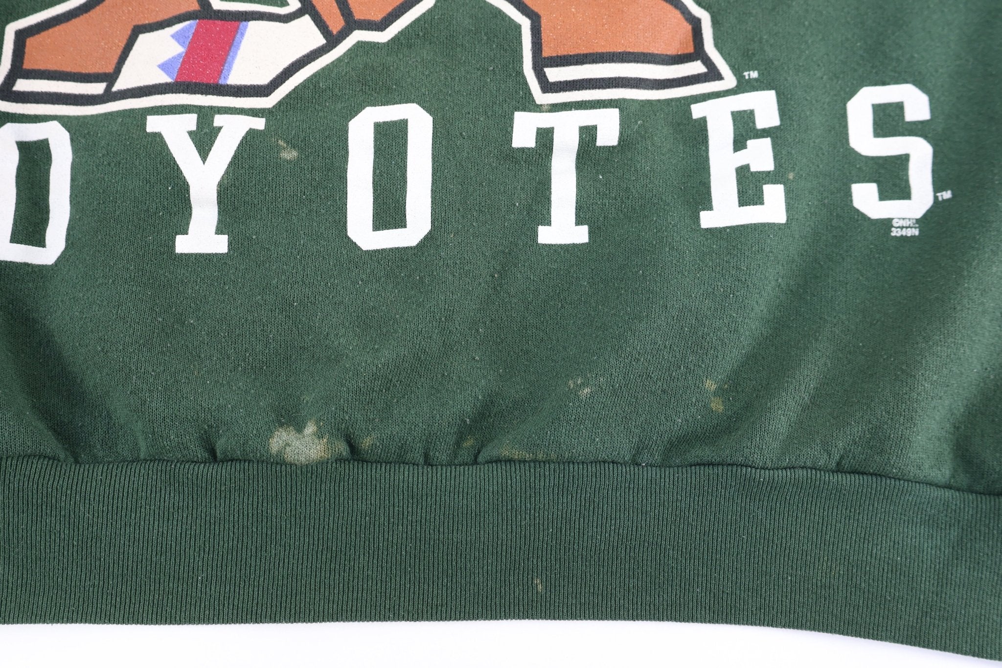90's Phoenix Coyotes Hockey Sweatshirt - Sweatshirt - Thrifted Threads