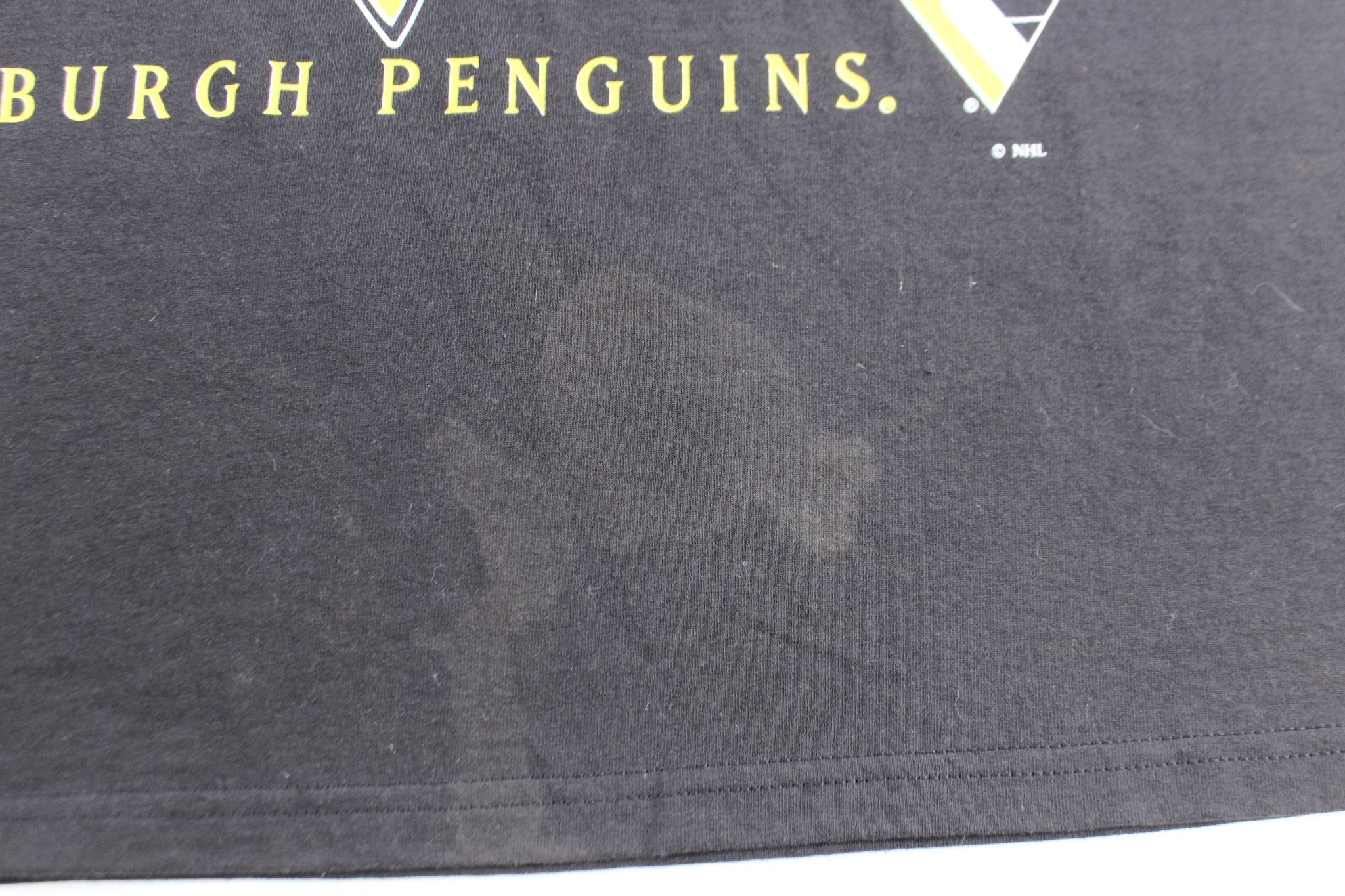 90's Pittsburgh Penguins Hockey Nutmeg Graphic T-Shirt - T-Shirts - Thrifted Threads
