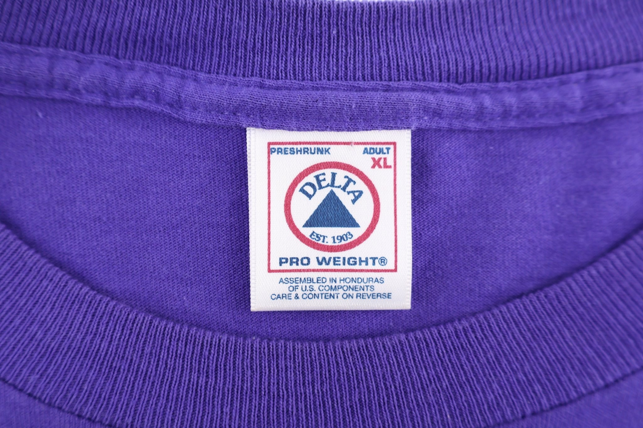 90's Sacramento Kings Jason Williams T-shirt - Shirts & Tops - Thrifted Threads