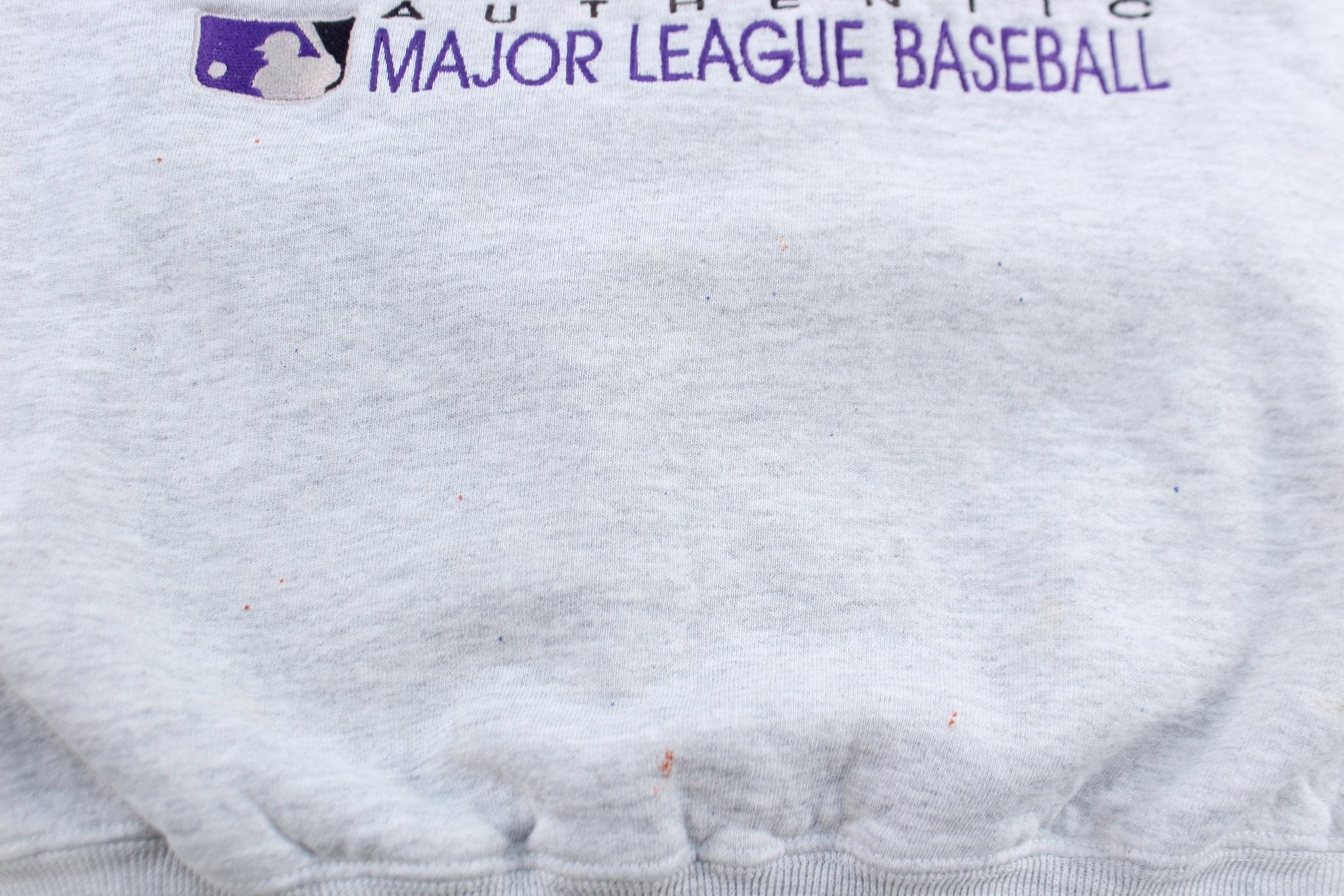 90's Tampa Bay Devil Rays Embroidered Russell Athletic Sweatshirt - ThriftedThreads.com