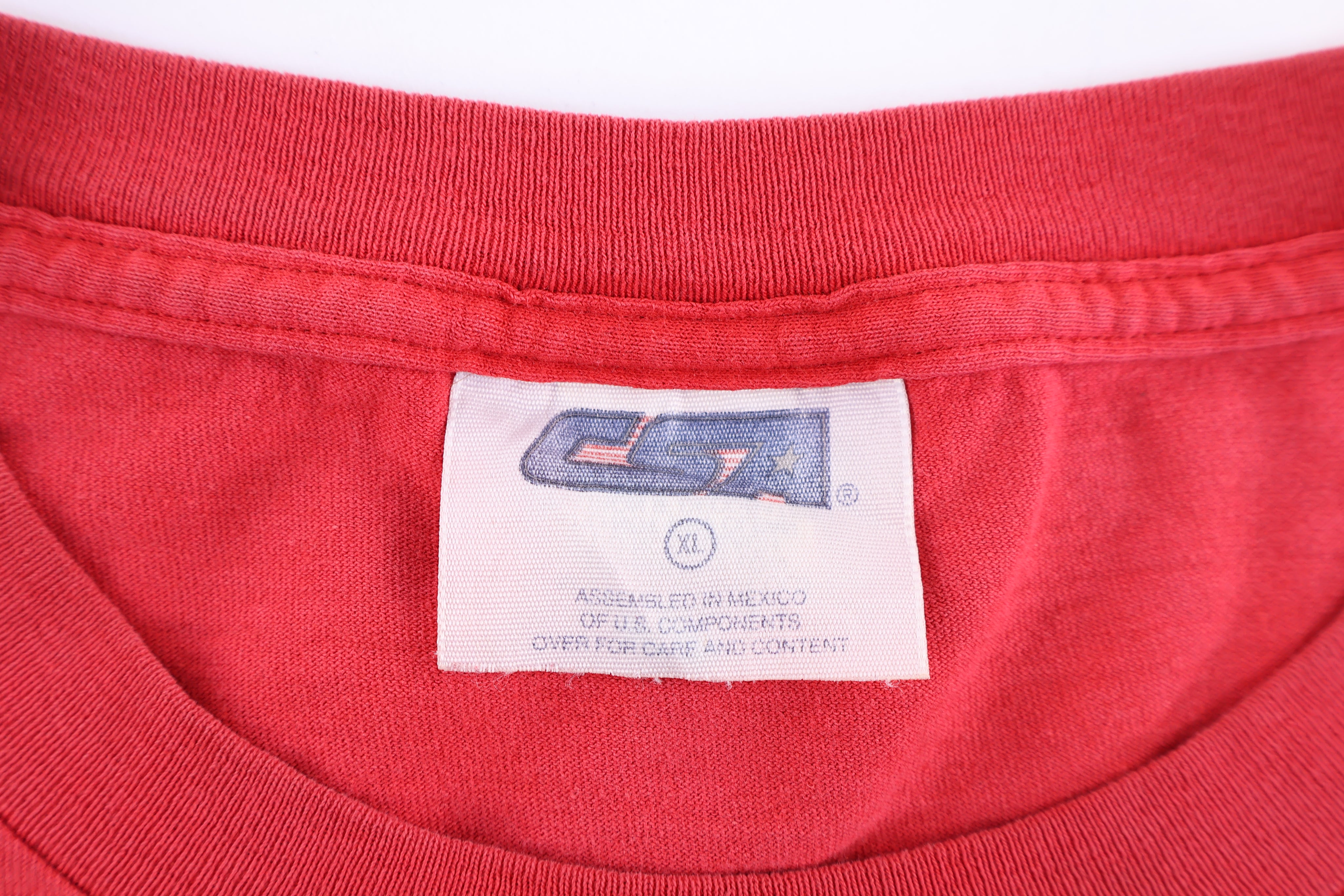 90's Tasmanian Devil Red Wings Detroit Graphic T-shirt - Shirts & Tops - Thrifted Threads