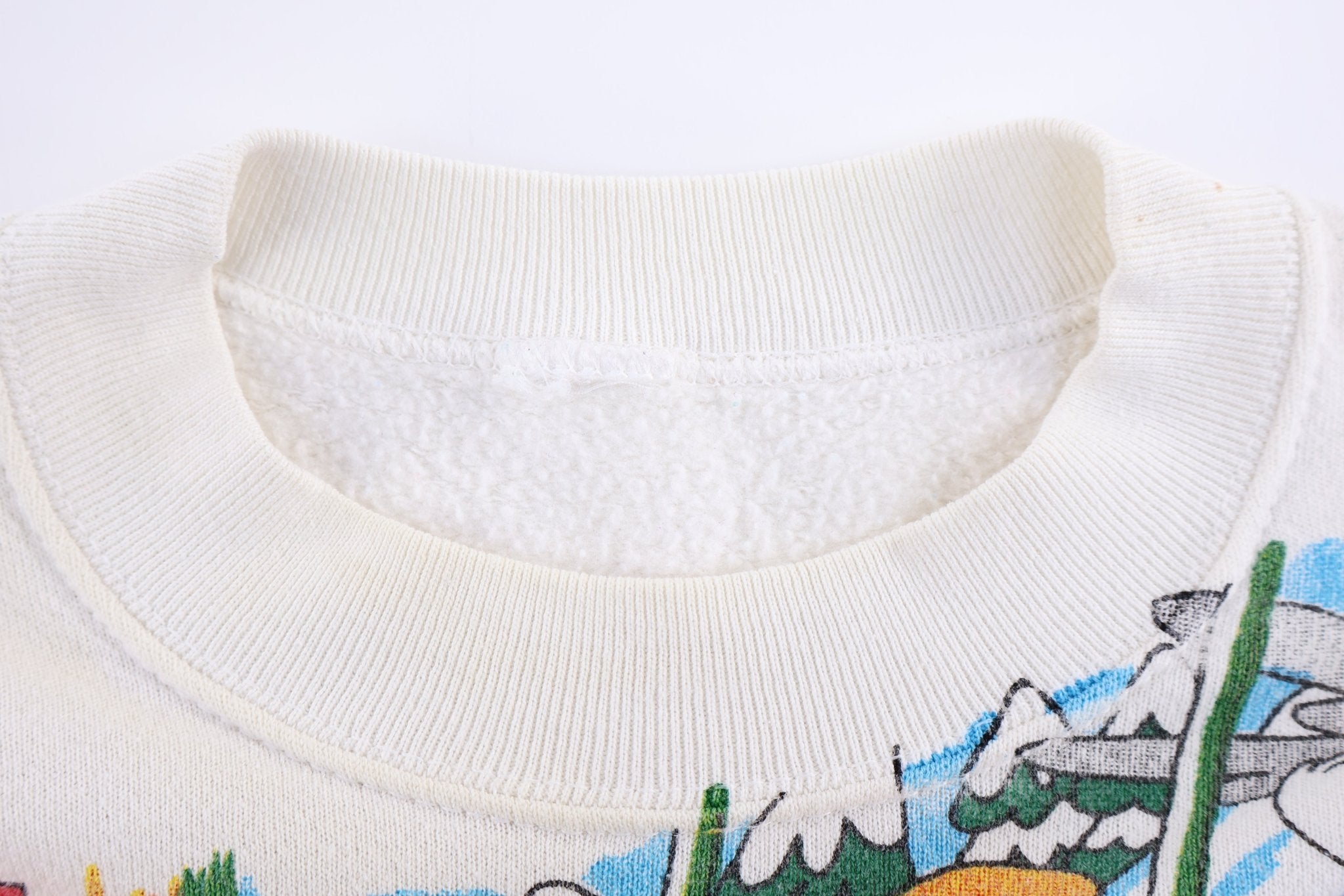 90's Tiny Toons Graphic Sweatshirt - Sweatshirt - Thrifted Threads