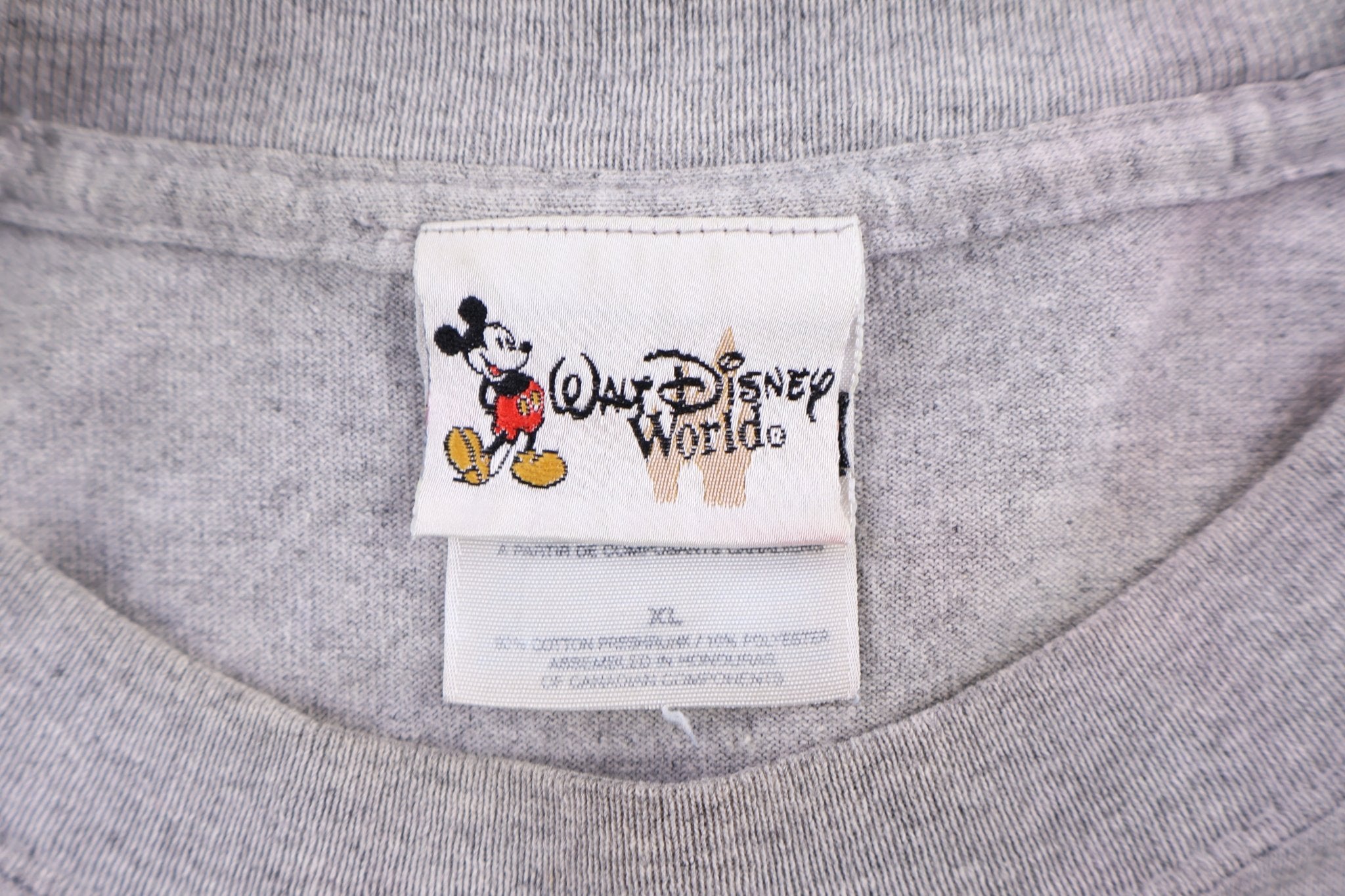 90's Walt Disney World Typhoon Lagoon T-shirt - Shirts & Tops - Thrifted Threads