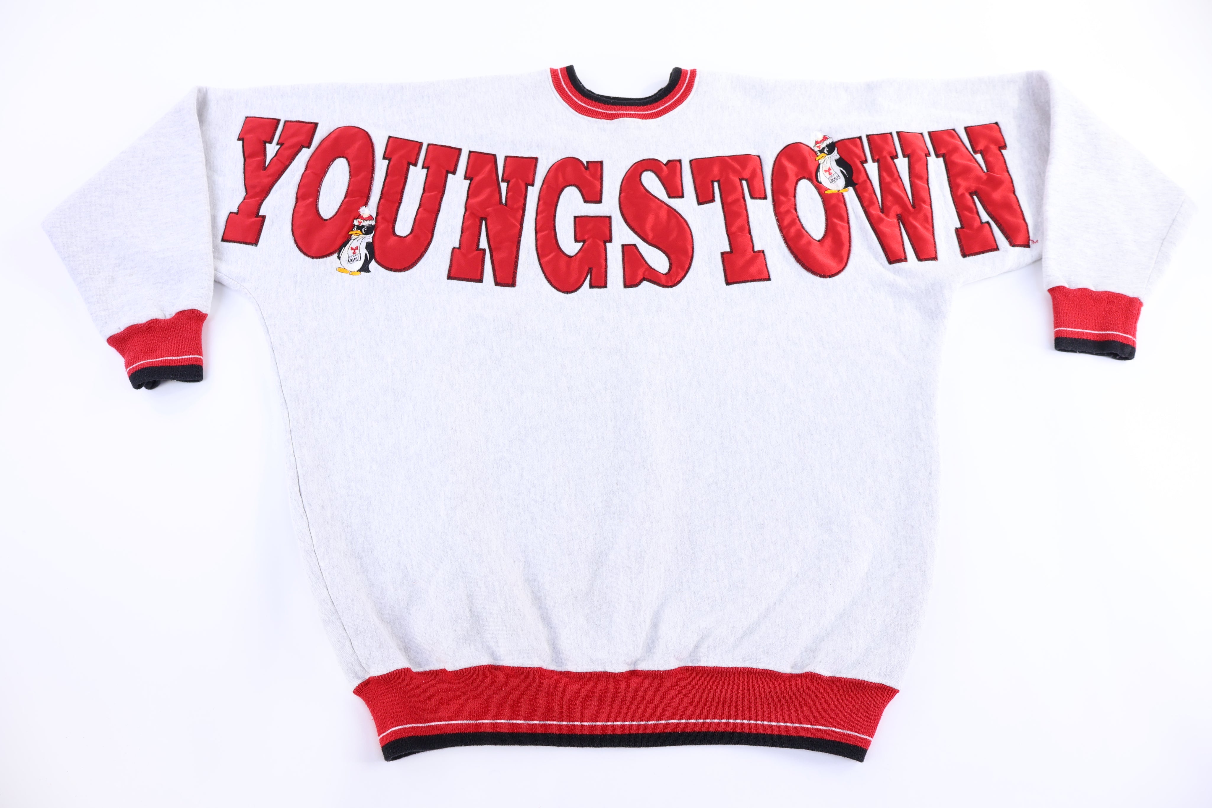 90's Youngstown State University Fighting Penguins Sweatshirt - Sweatshirt - Thrifted Threads