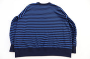 Polo Ralph Lauren Embroidered Logo Blue Striped Sweater