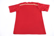 2010 Spain Soccer Jersey