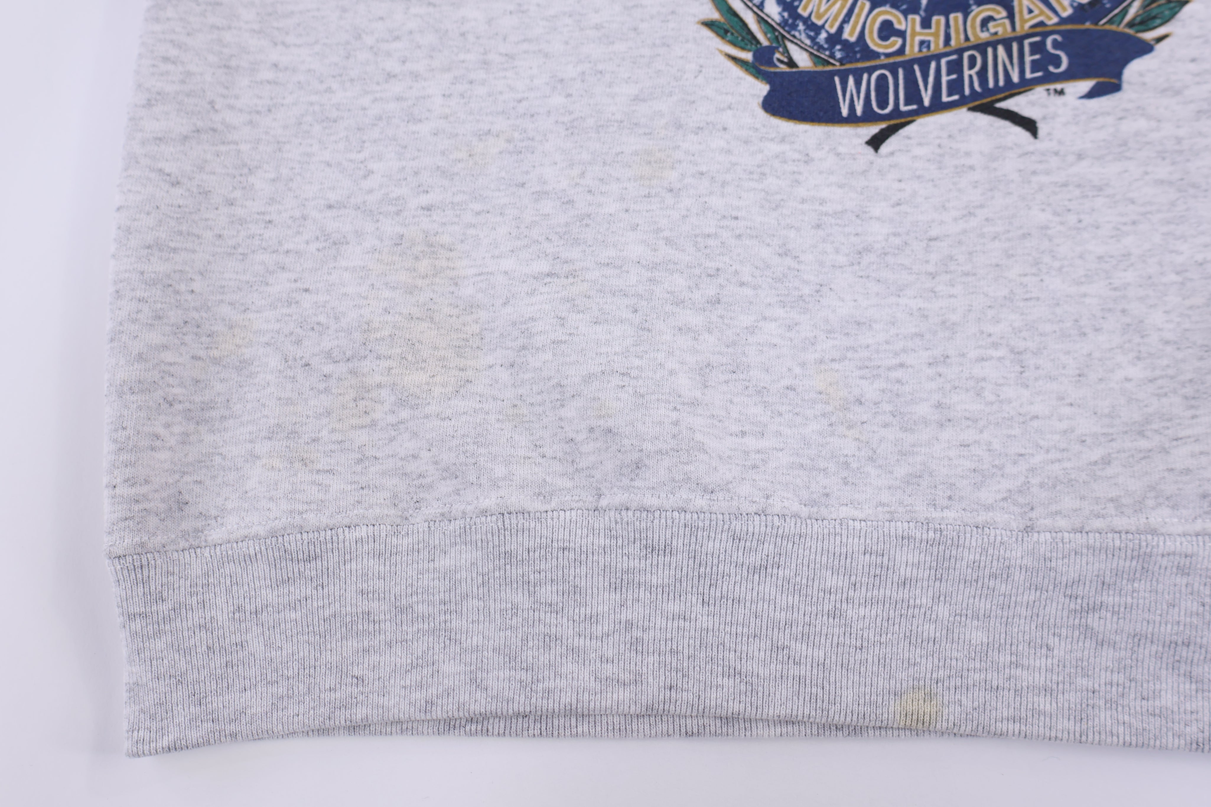 90's University of Mchgan Sweatshirt