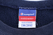 Champion University of Michigan Sweatshirt