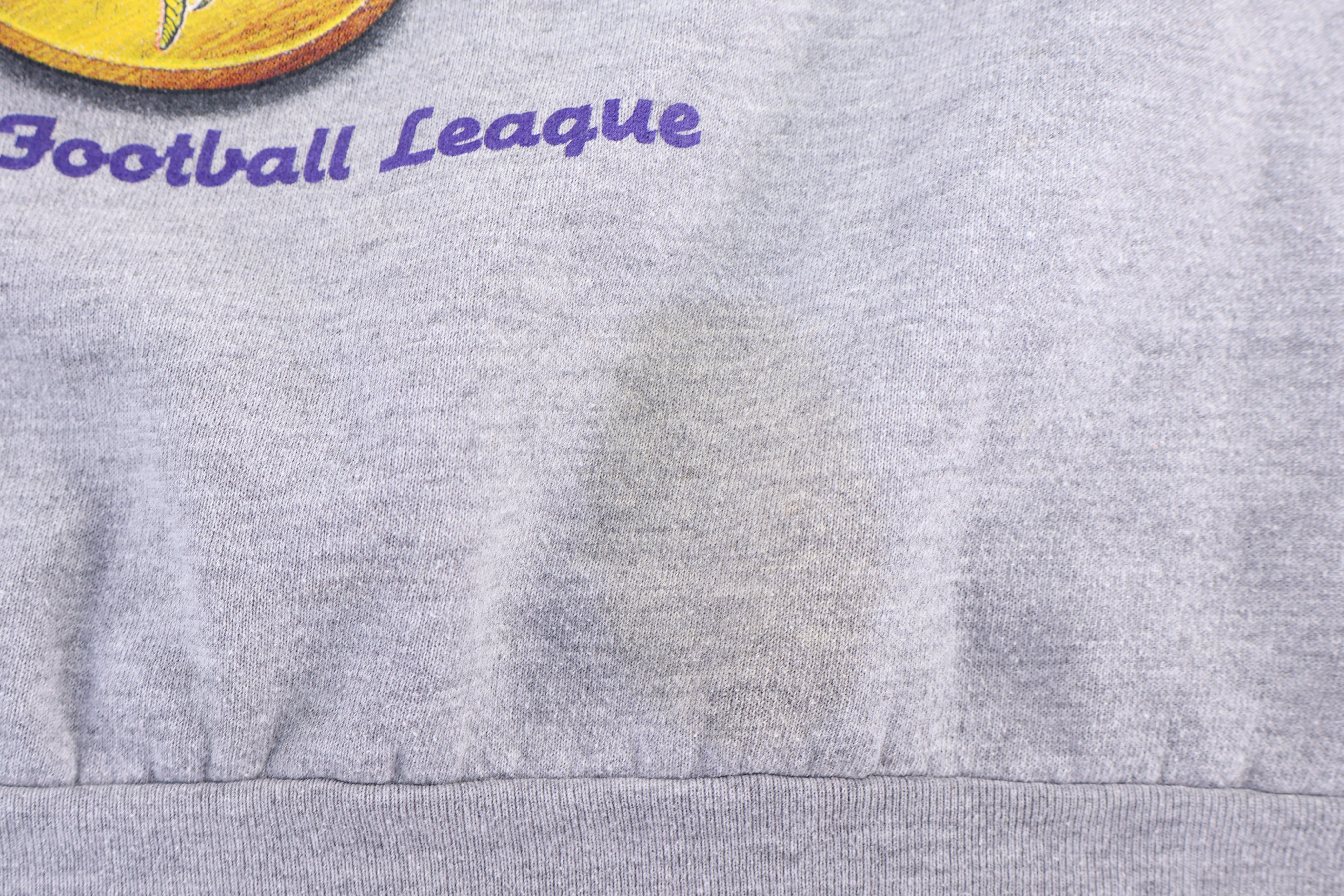 Vintage Minnesota Vikings Football Sweatshirt