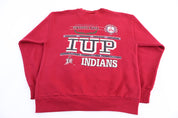 90's University of Pennsylvania Sweatshirt