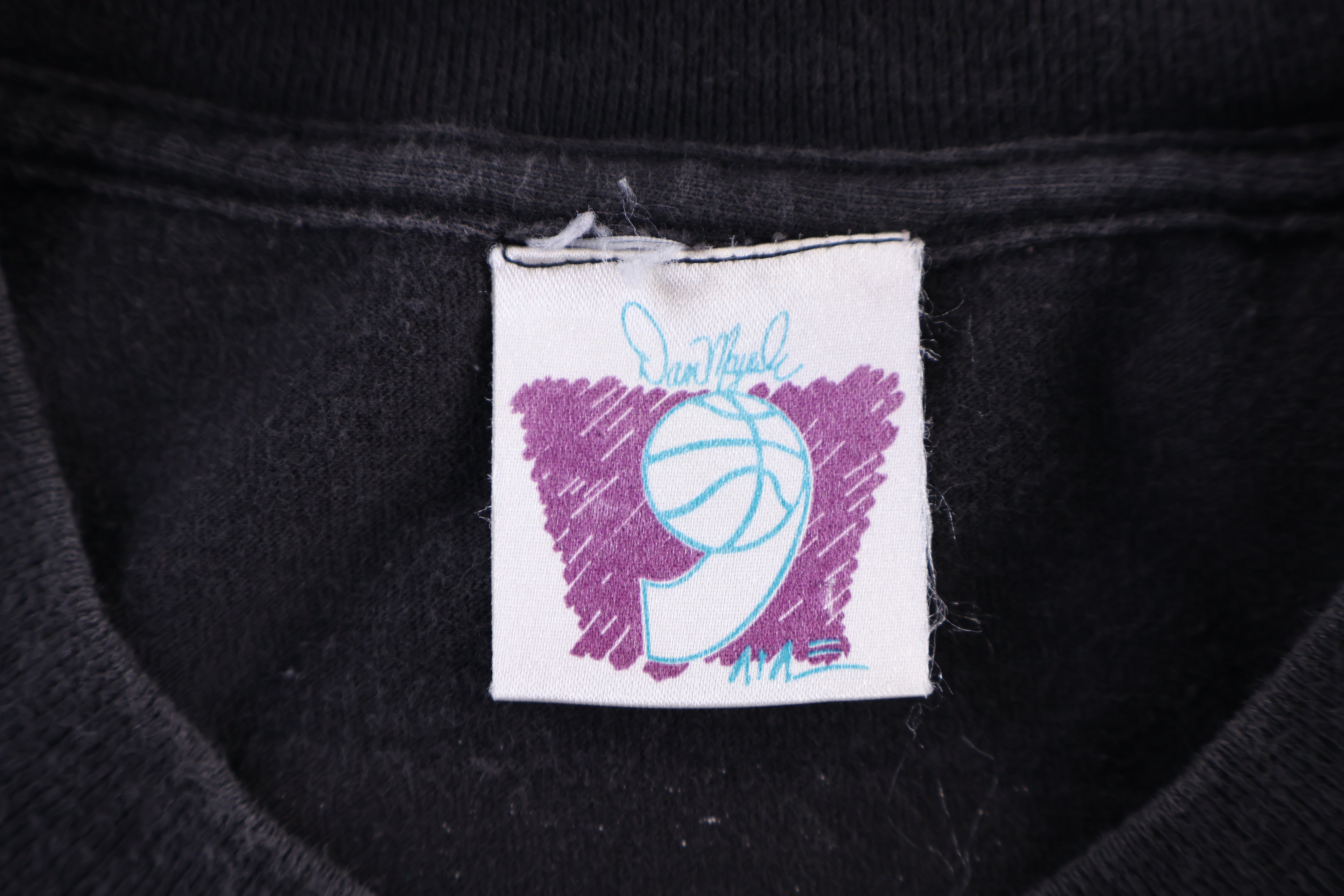 Vintage Dan Majerle Thunder's In The Air T-shirt