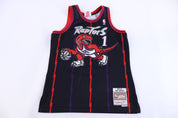 Mitchell & Ness Toronto Raptors Tracy McGrady Basketball Jersey