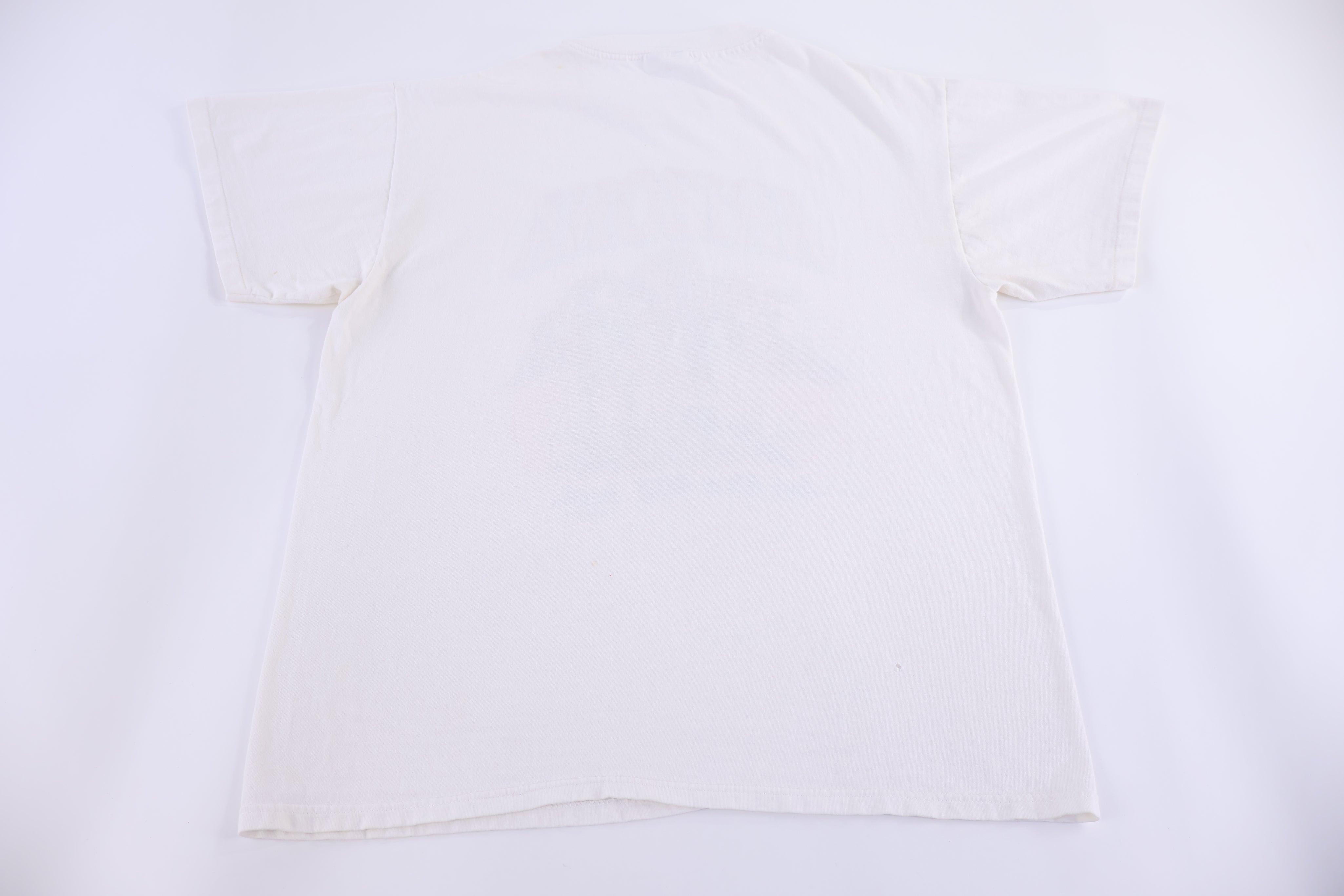 1991 Arizona Dry Heat T-shirt