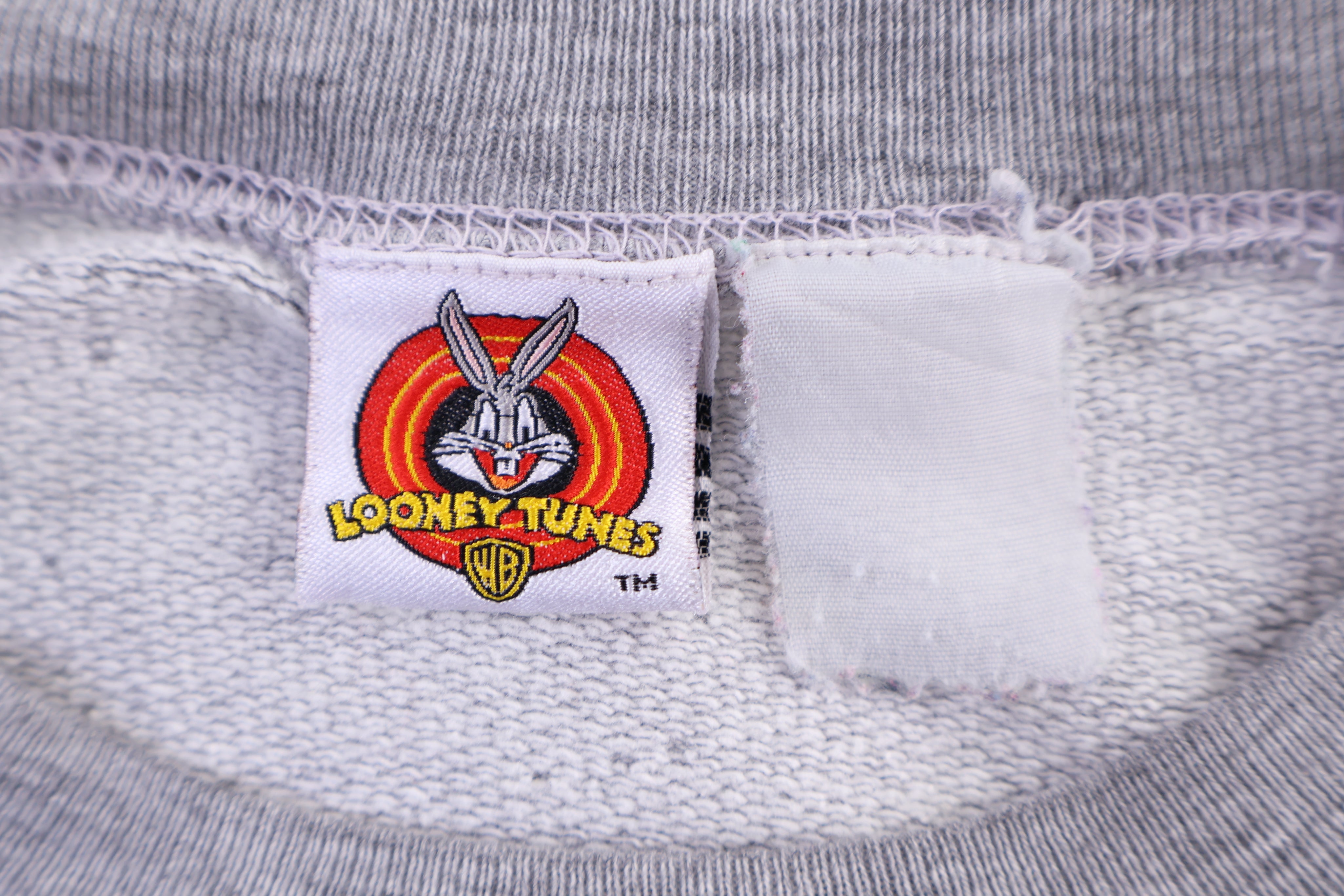 90's Looney Tunes Taz The Devil Graphic Sweatshirt