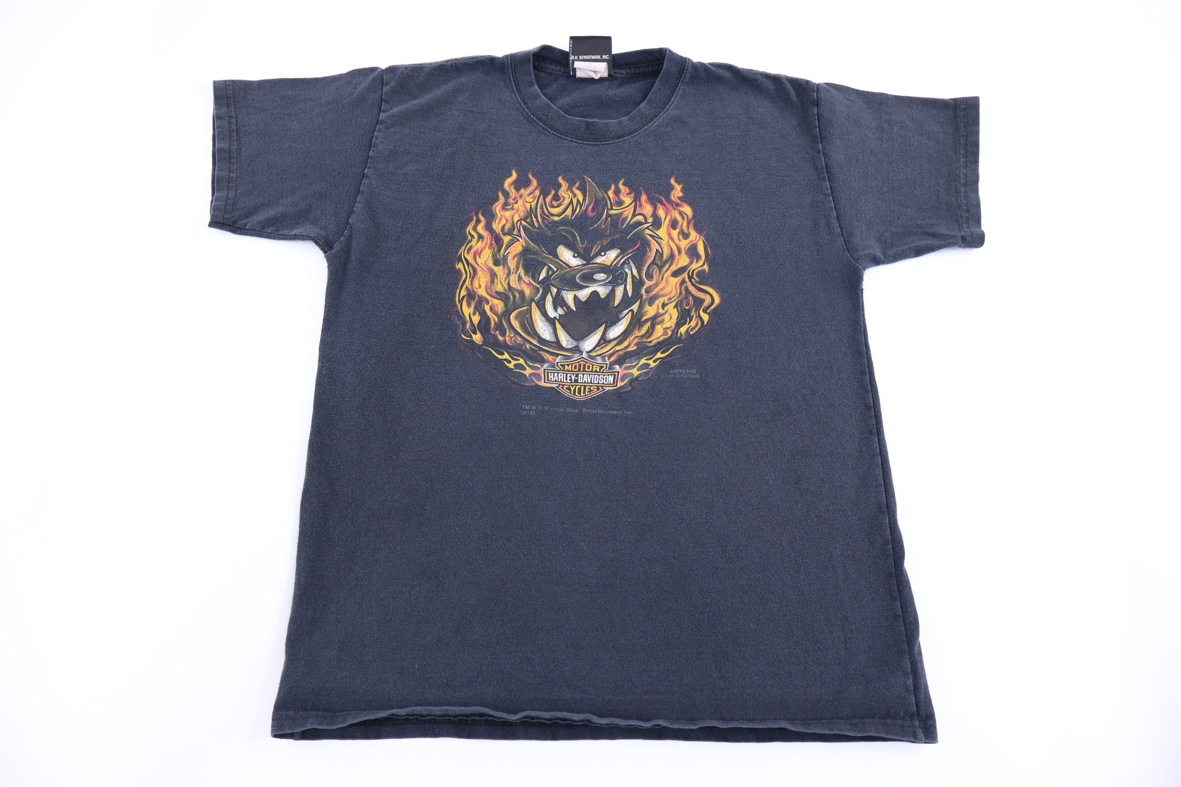 Youth Harley Davidson Motorcycles Illinois T-shirt