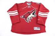 Vintage Arizona Coyotes Hockey Jersey