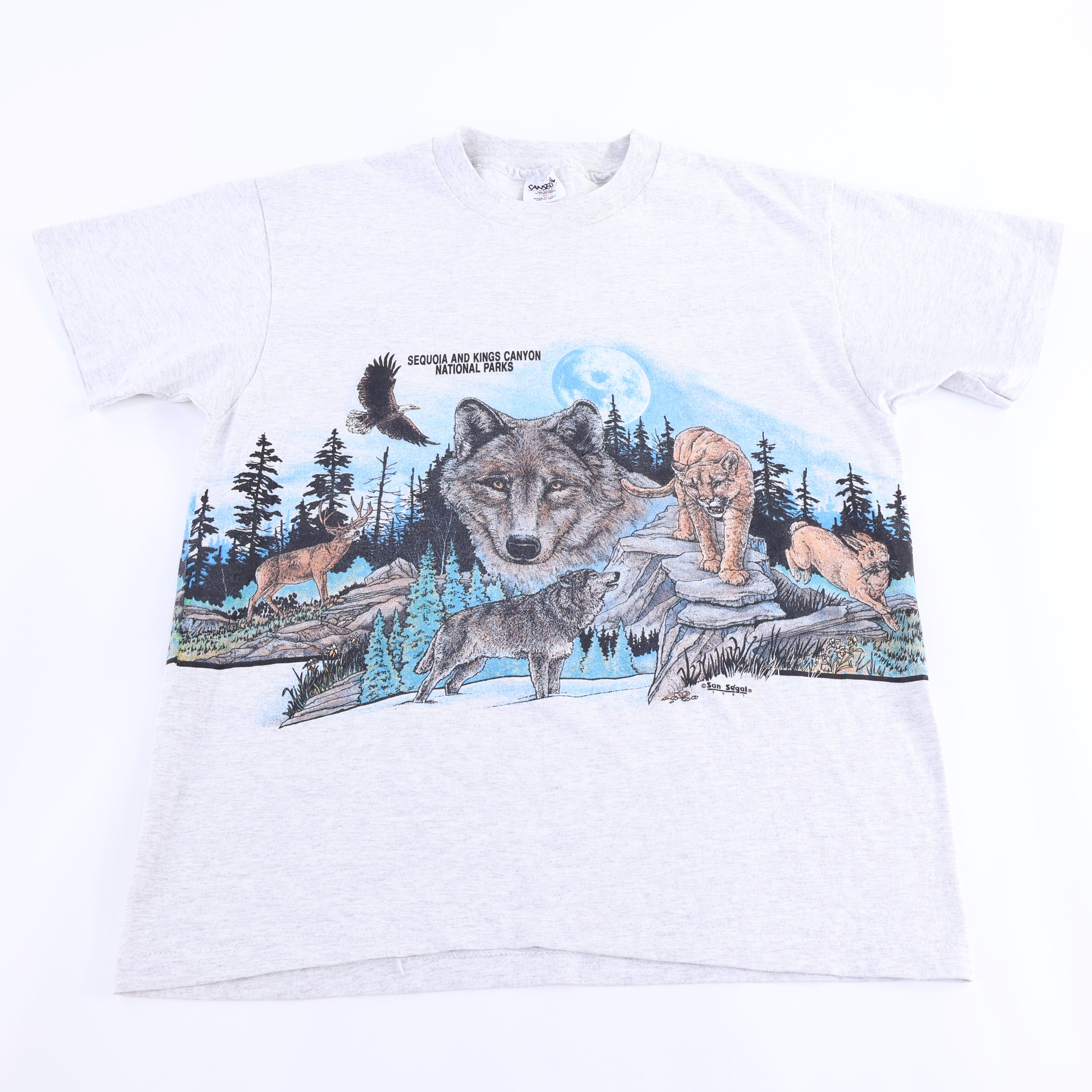 1991 Sequoia And Kings Canyon Park Nature Graphic T-shirt