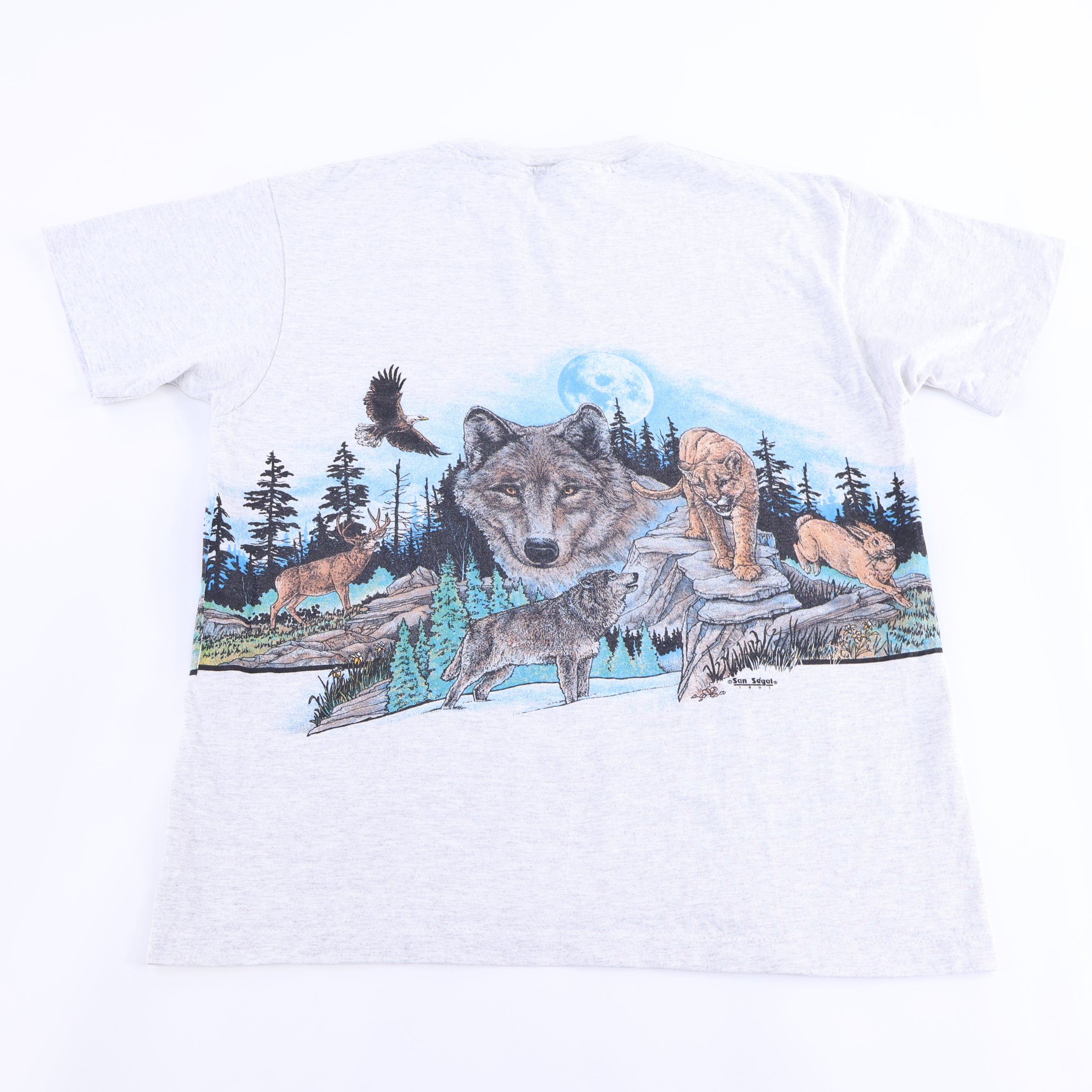 1991 Sequoia And Kings Canyon Park Nature Graphic T-shirt