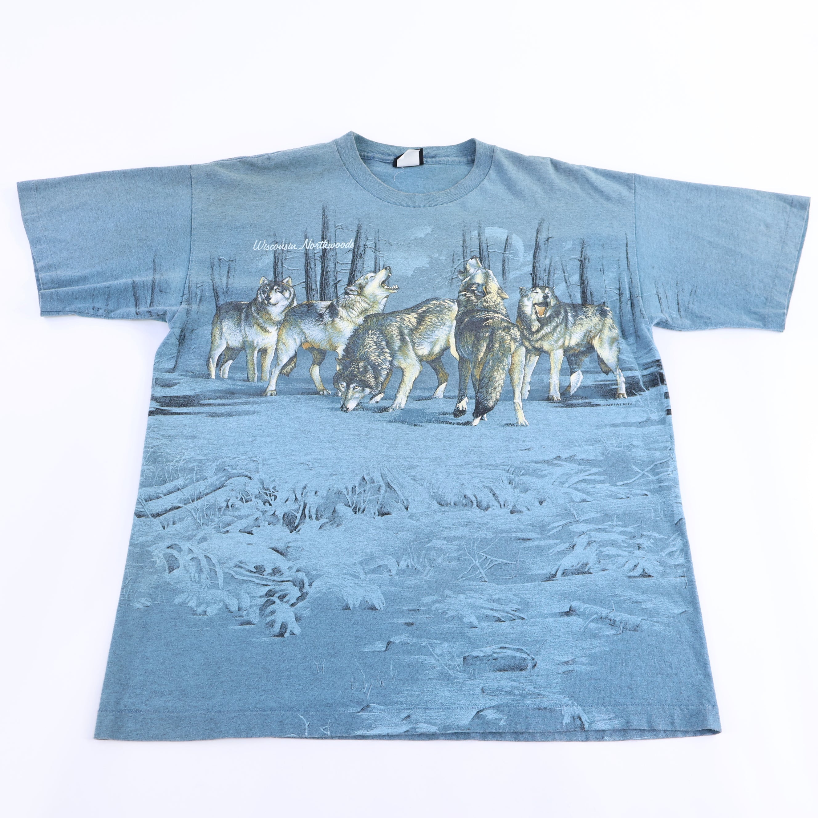 90's Wisconsin Northwoods Nature Graphic T-shirt