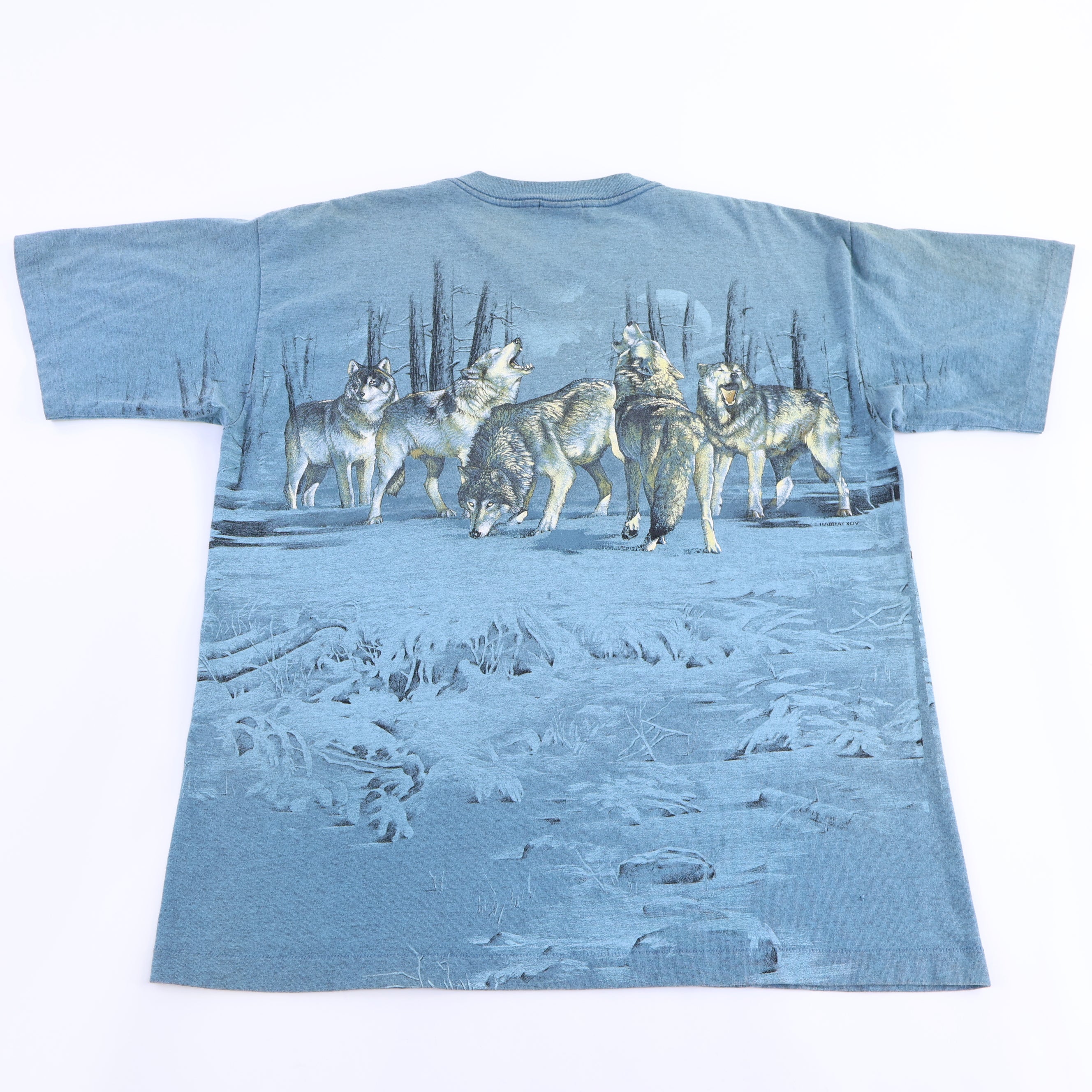 90's Wisconsin Northwoods Nature Graphic T-shirt