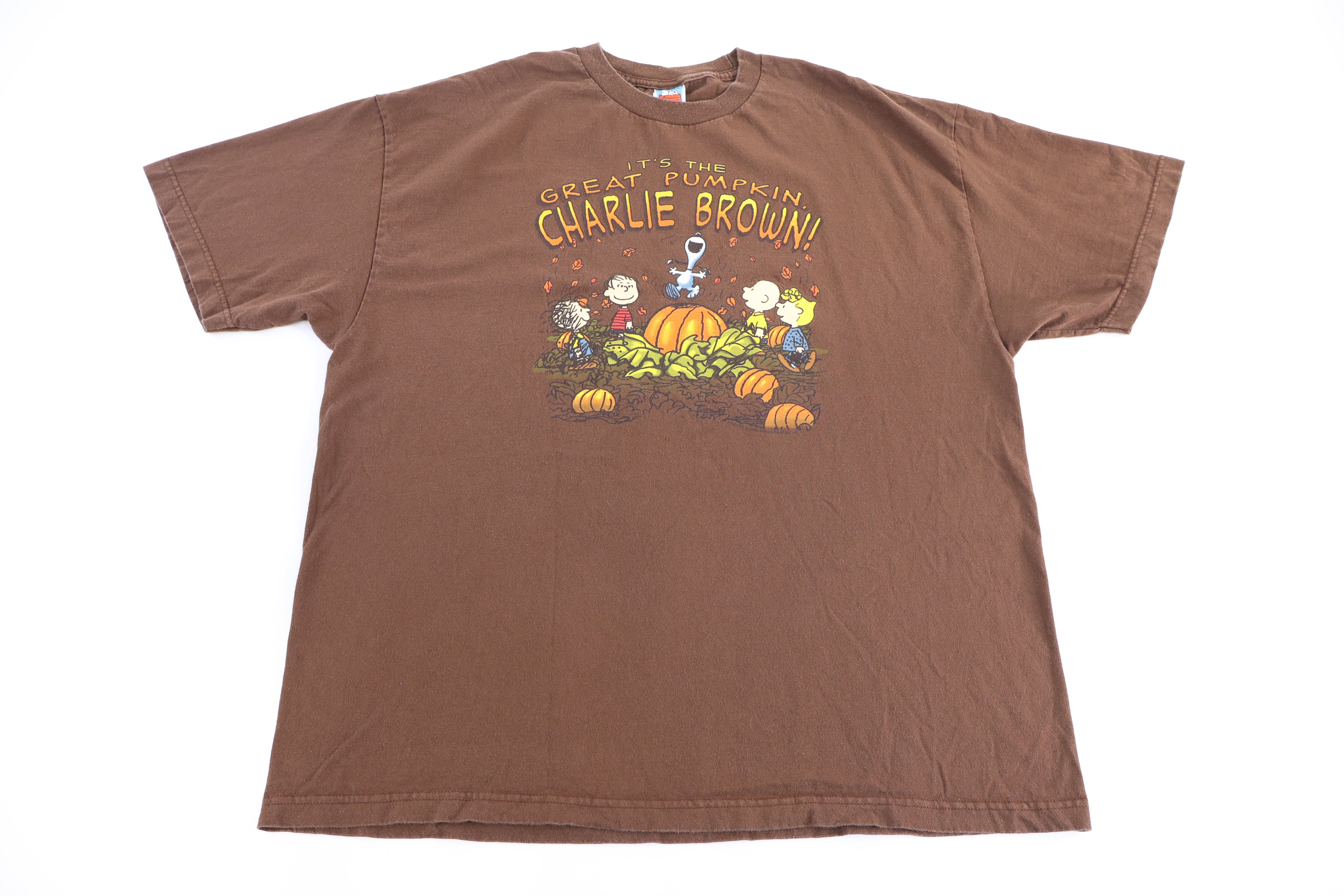 Vintage Peanut's It's The Great Pumpkin Charlie Brown T-shirt